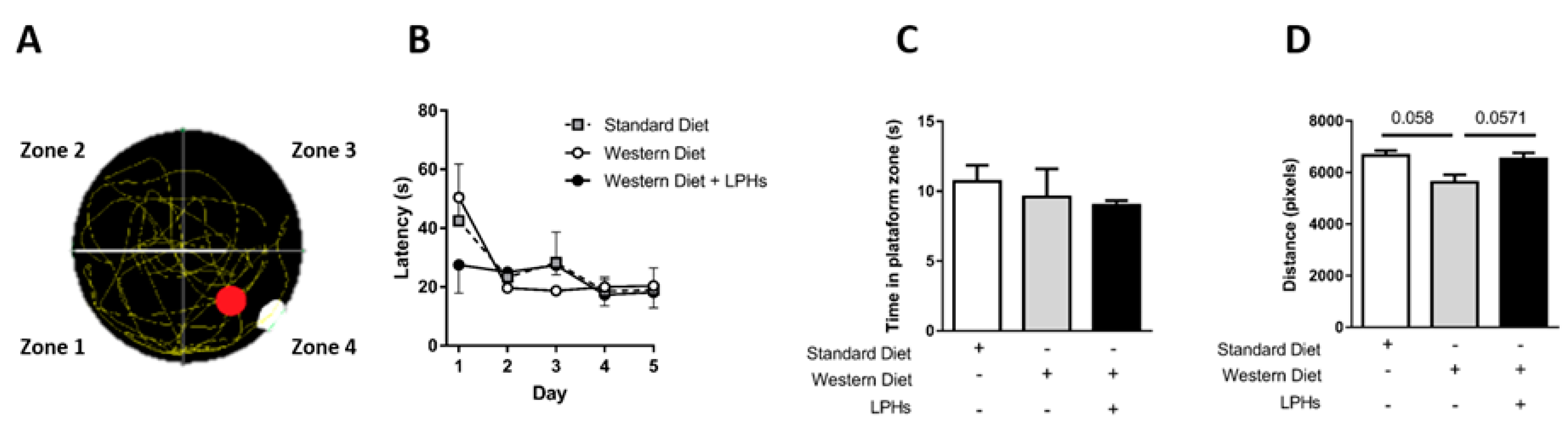 Proceedings 70 00041 g003