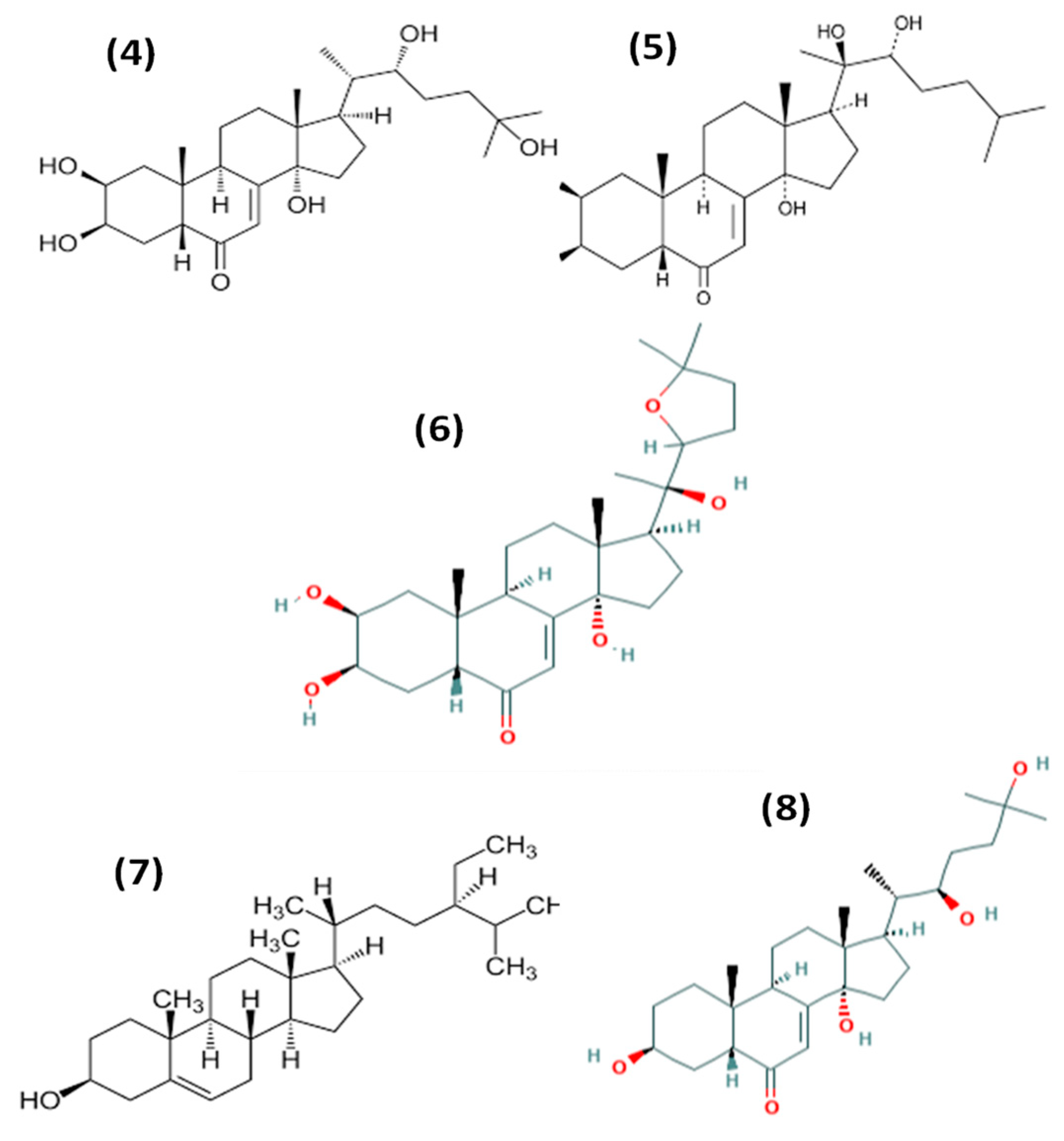Proceedings 71 00002 g002
