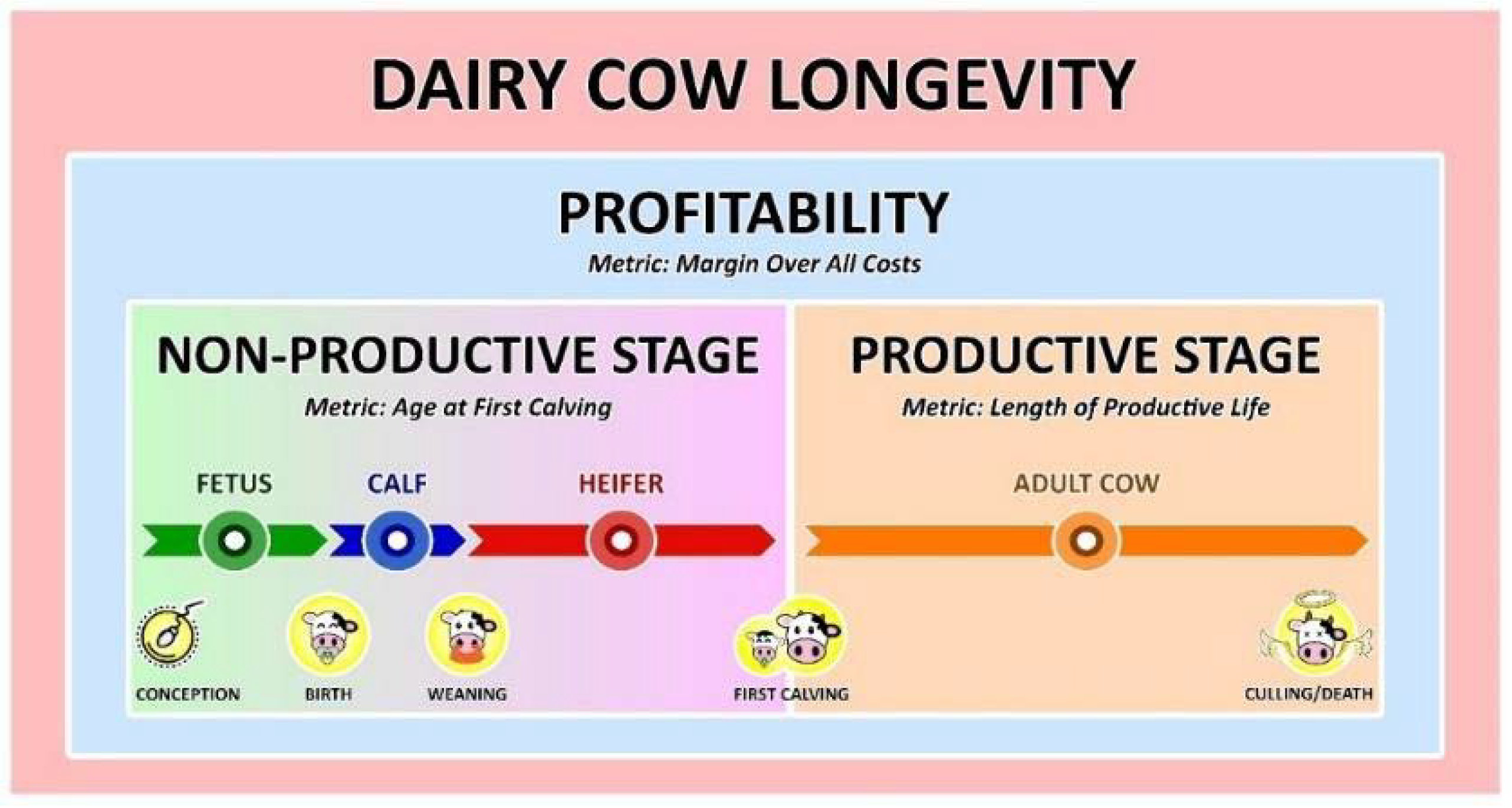 Proceedings 73 00007 g001 550