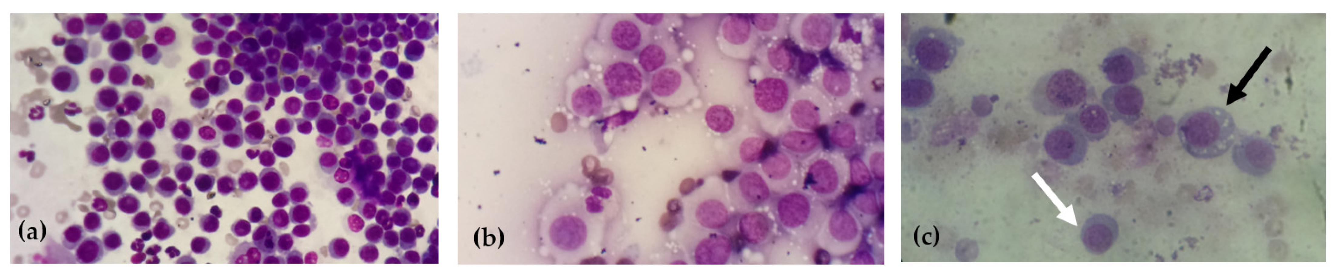 Proceedings 76 00004 g001