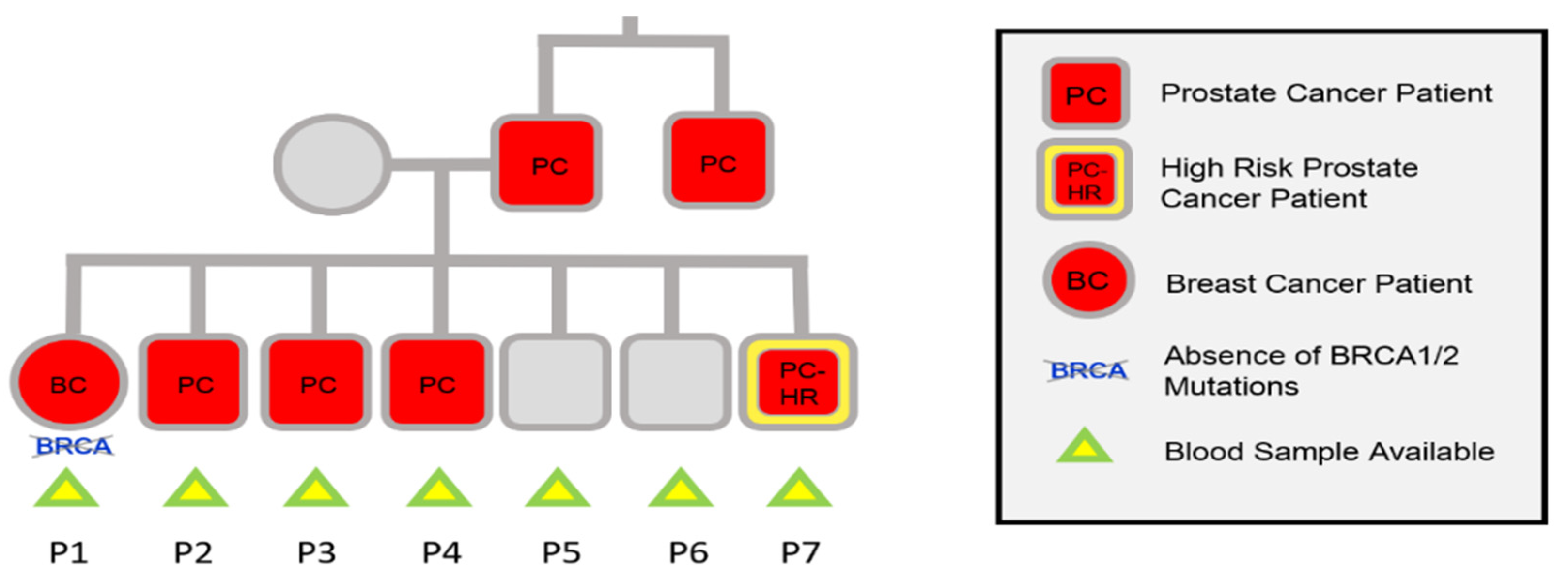Proceedings 76 00005 g001