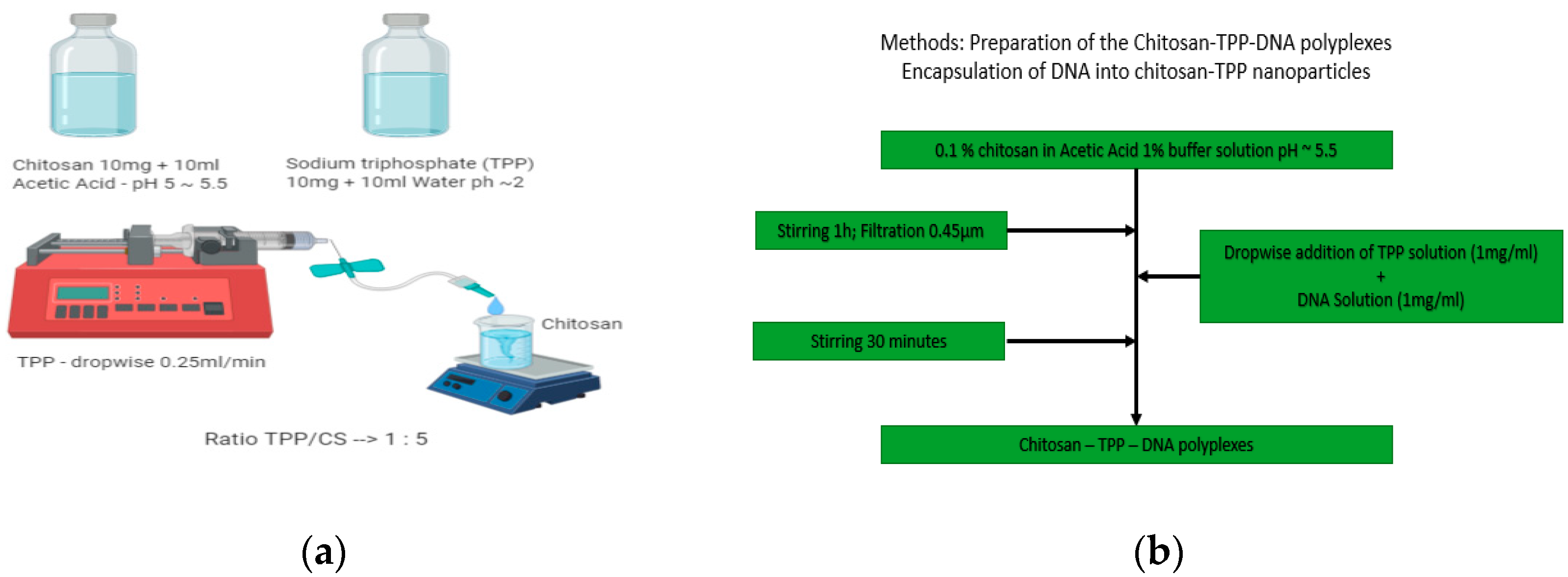 Proceedings 78 00012 g001