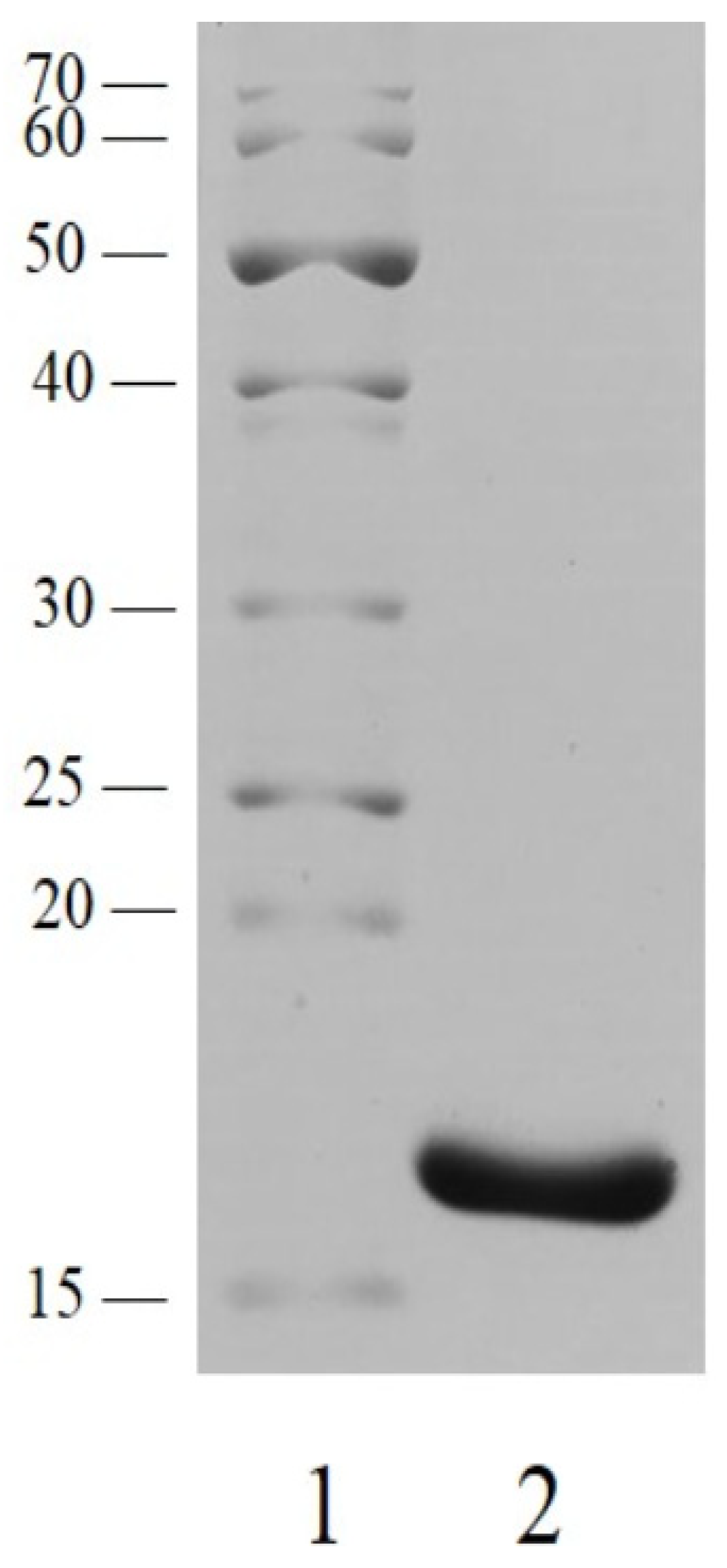 Proceedings 78 00016 g001 550