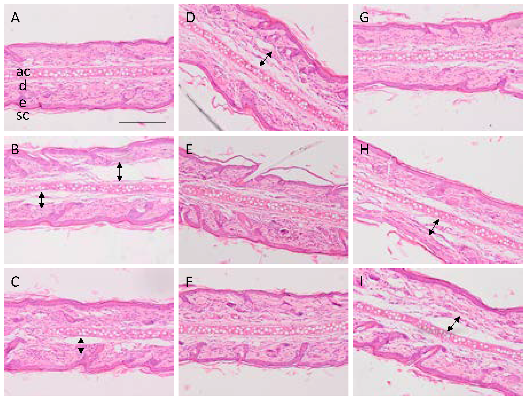 Proceedings 78 00023 g006
