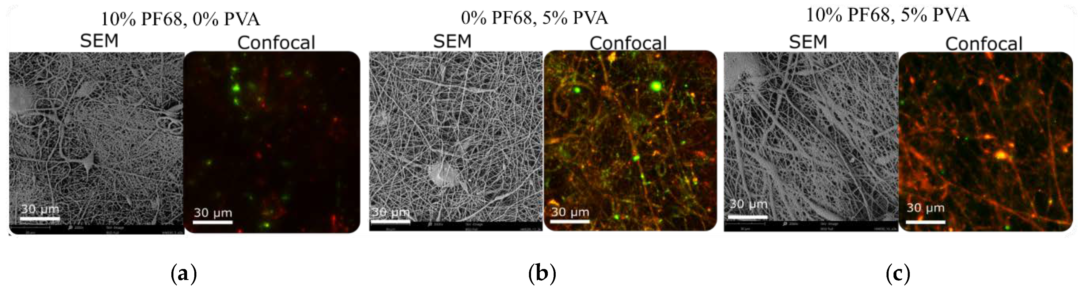 Proceedings 78 00024 g004 550