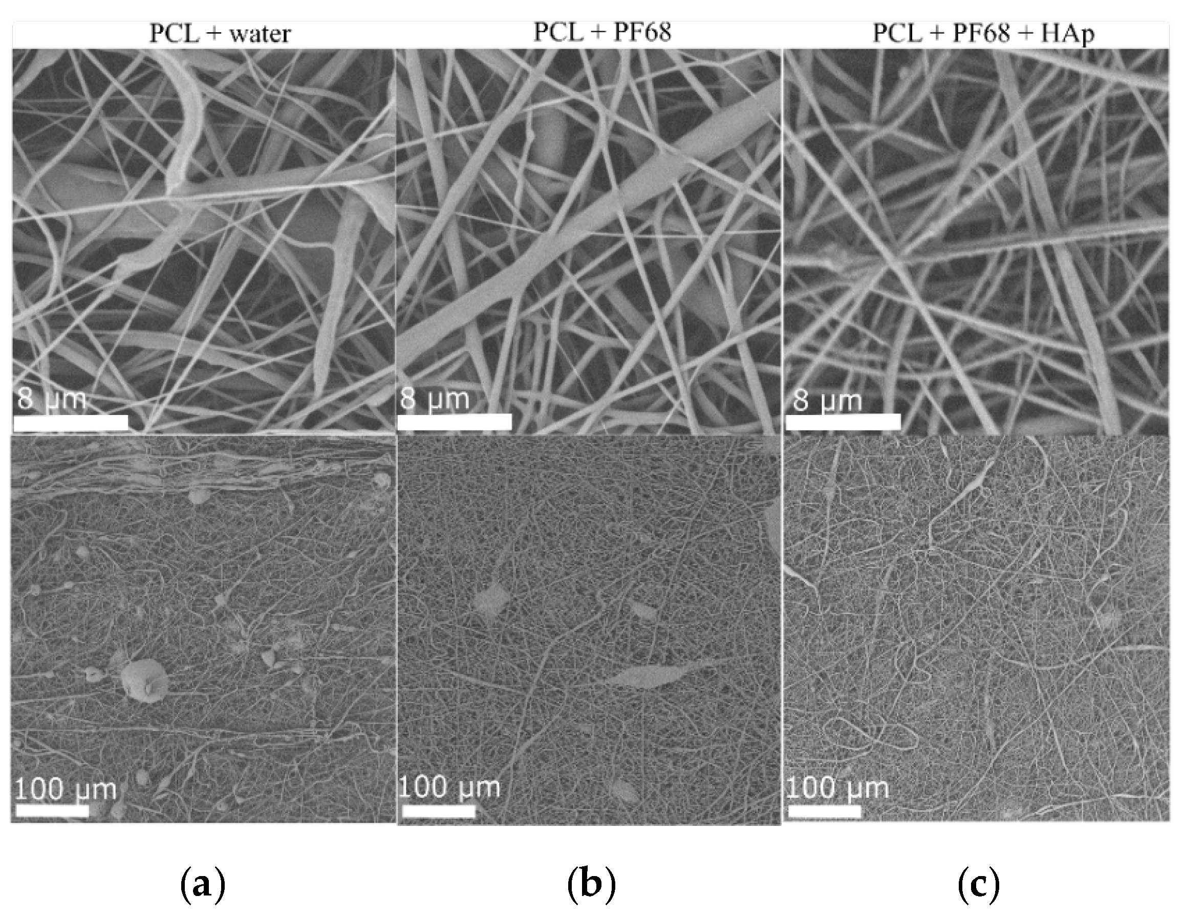 Proceedings 78 00024 g005 550