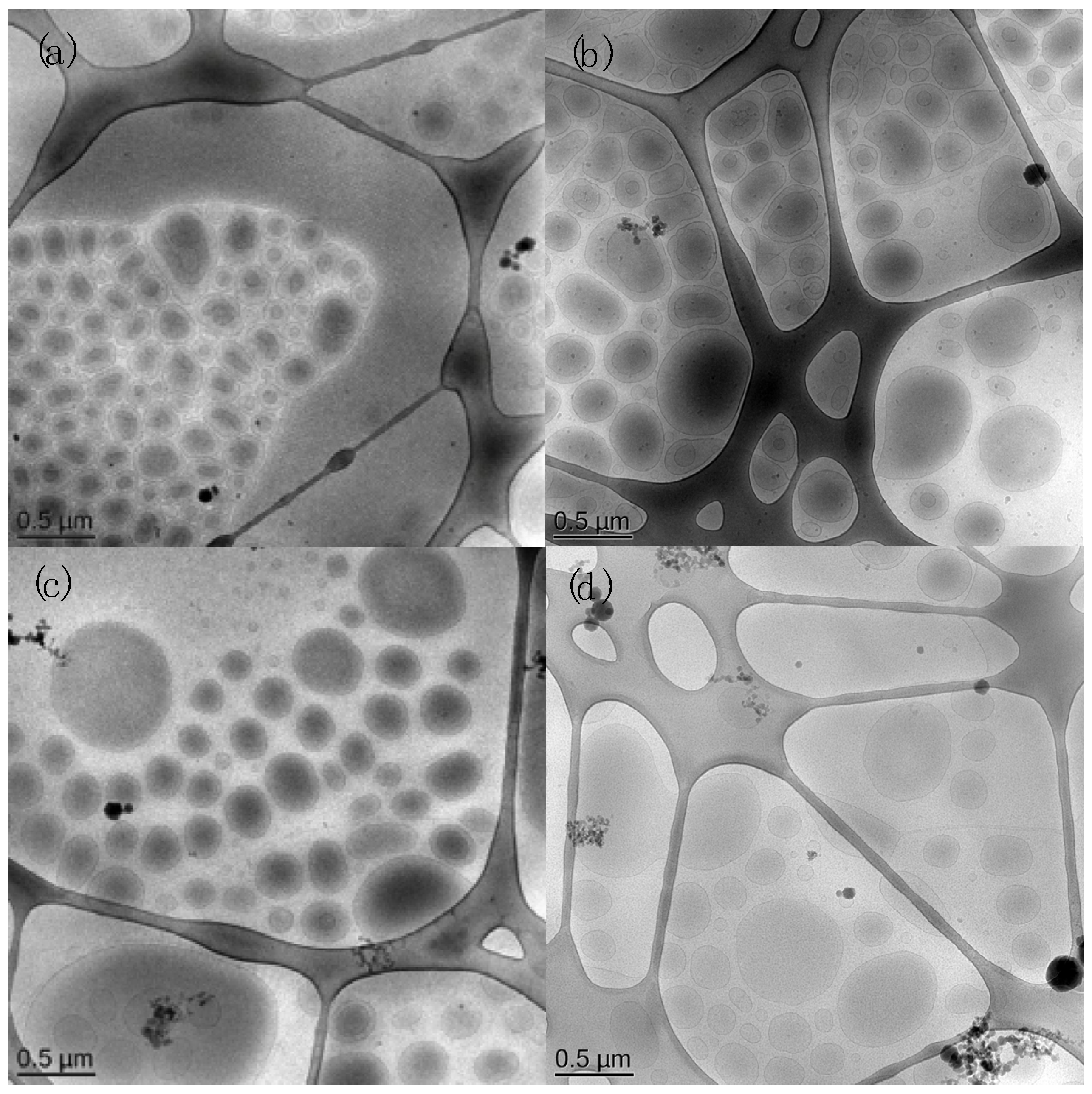 Proceedings 78 00025 g003