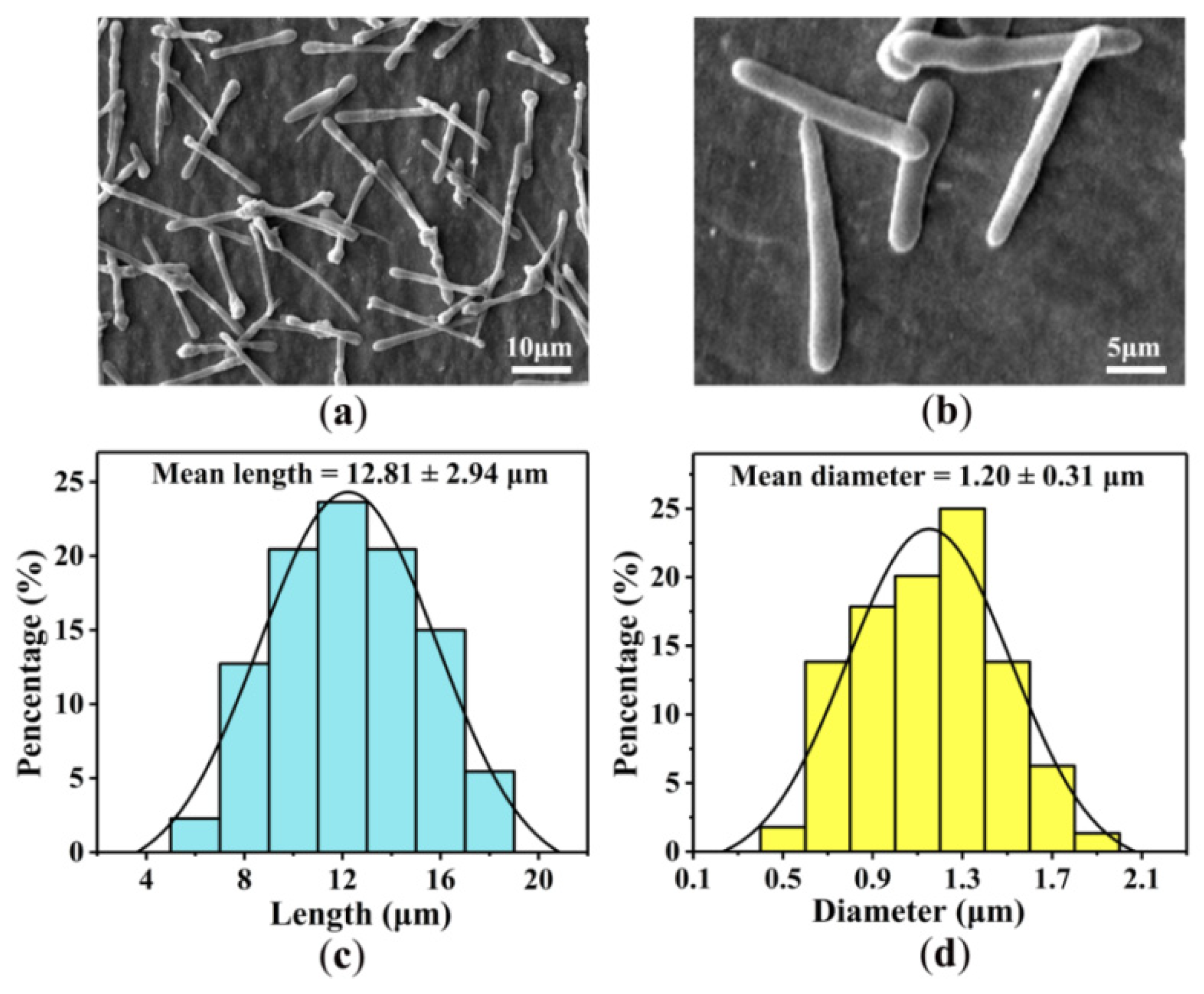 Proceedings 78 00044 g002
