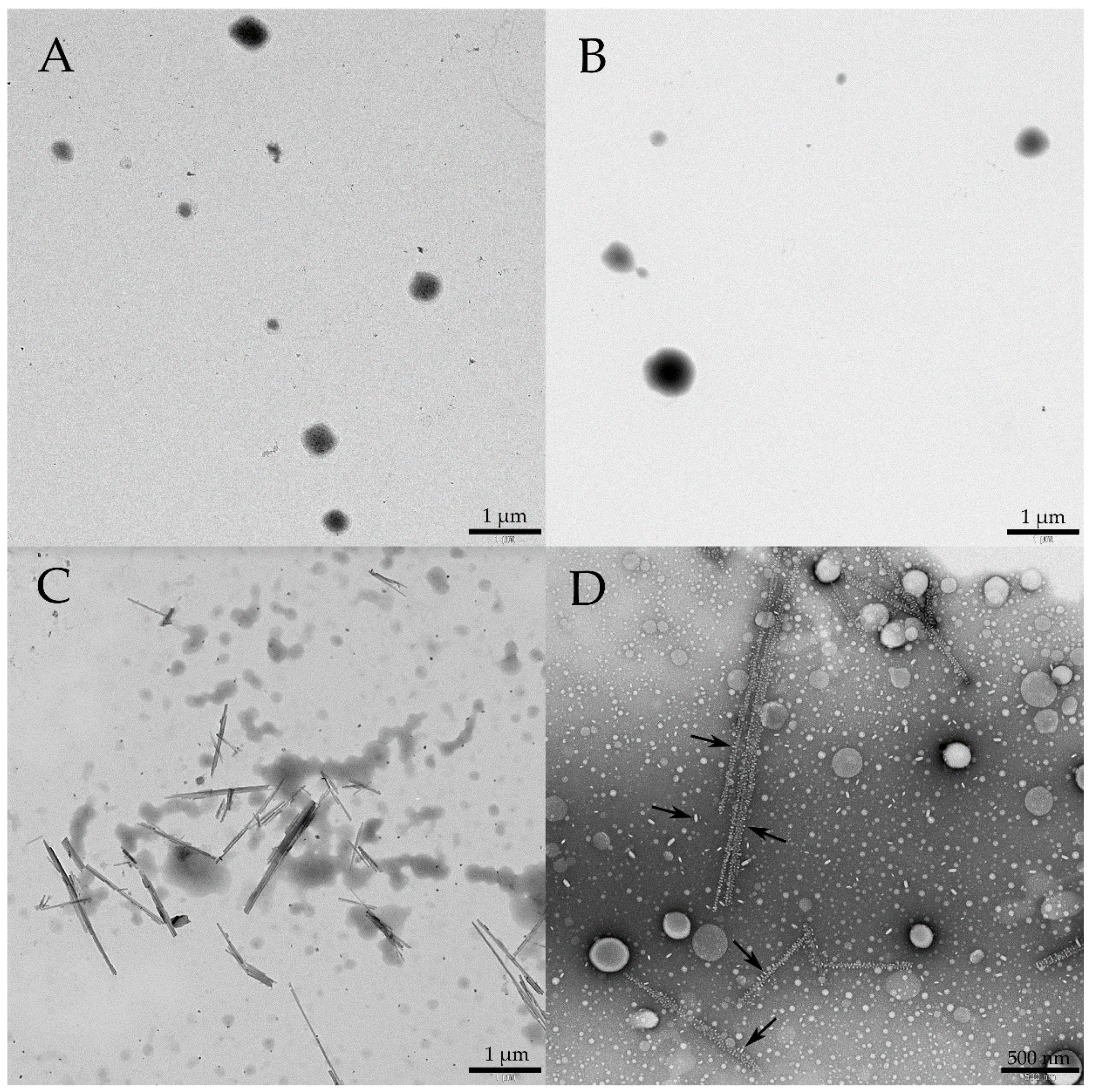 Proceedings 78 00056 g004 550