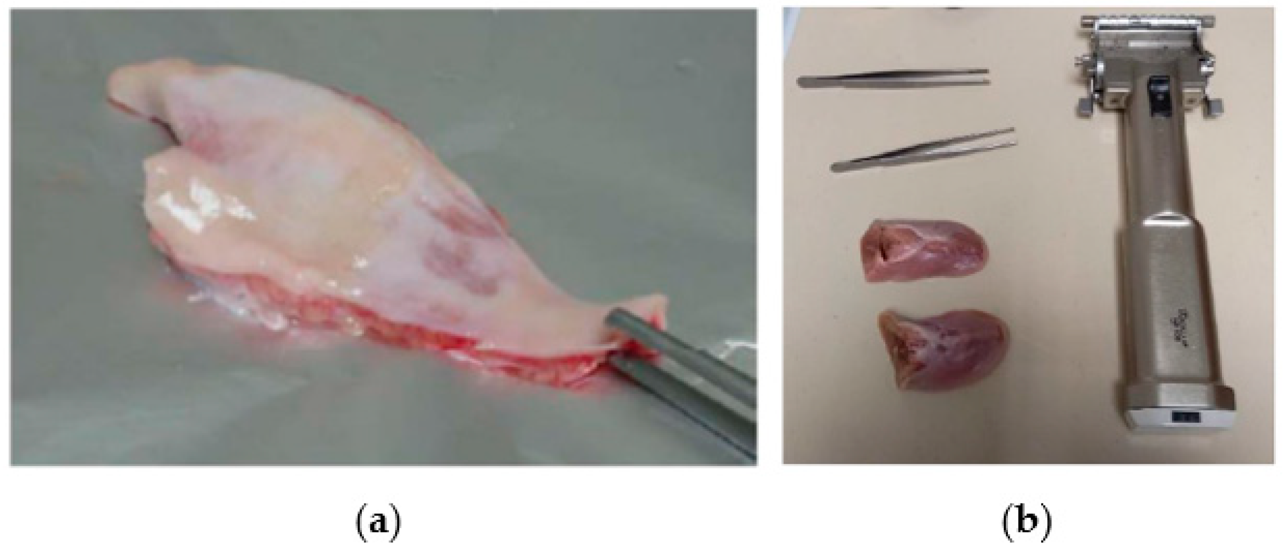 Proceedings 78 00057 g001 550