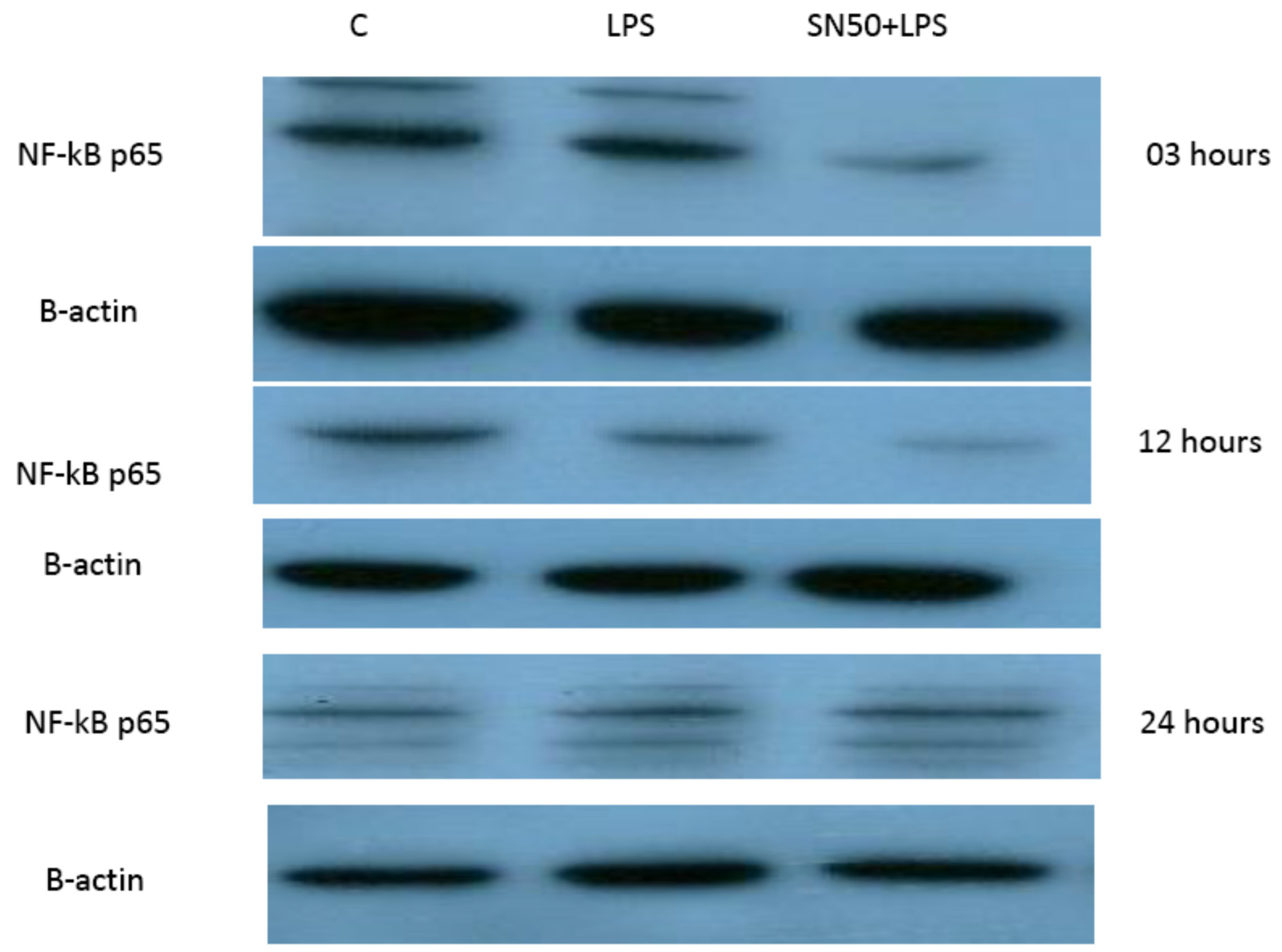 Proceedings 79 00015 g002 550