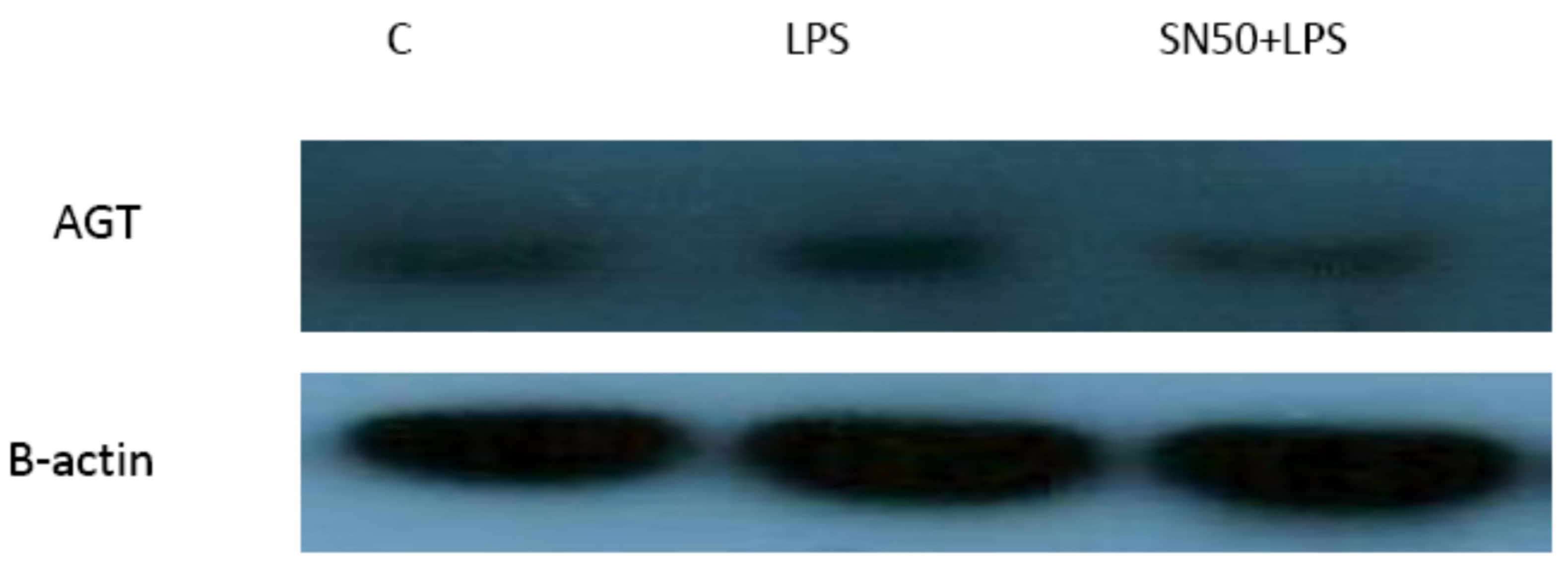 Proceedings 79 00015 g008 550