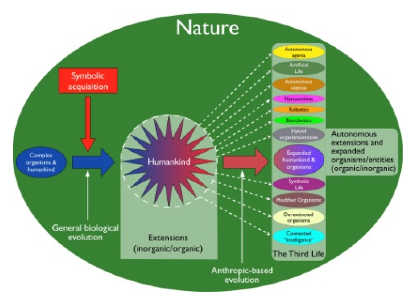 Proceedings 81 00057 g002 550