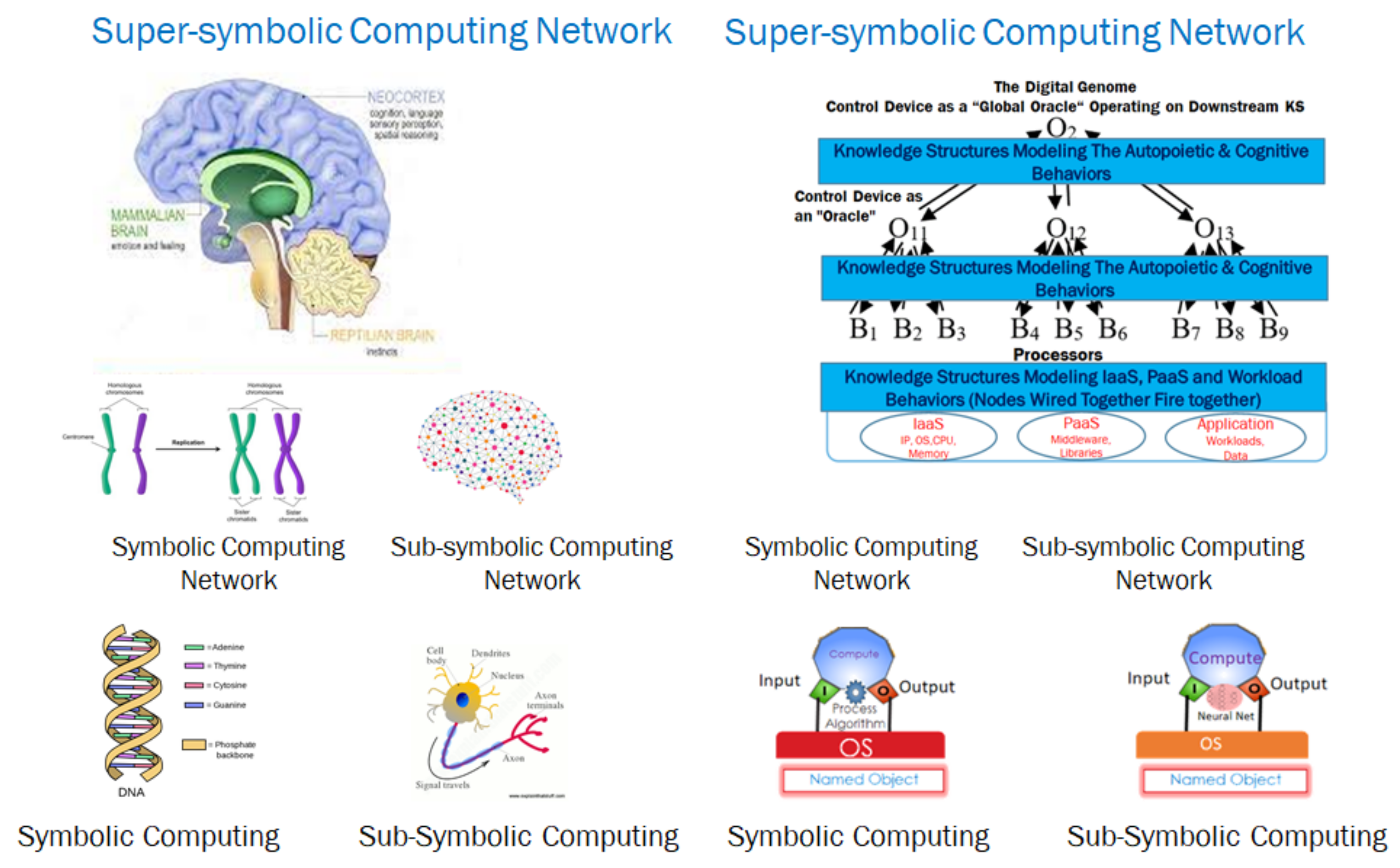 Proceedings 81 00084 g001 550