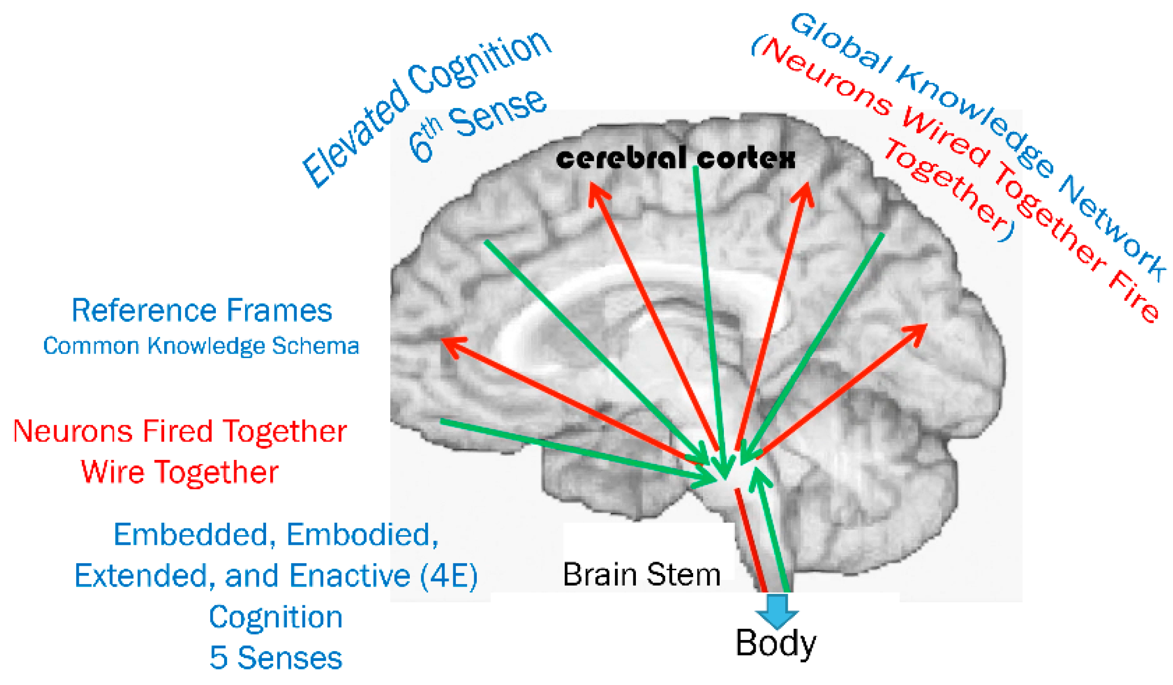 Proceedings 81 00103 g001 550
