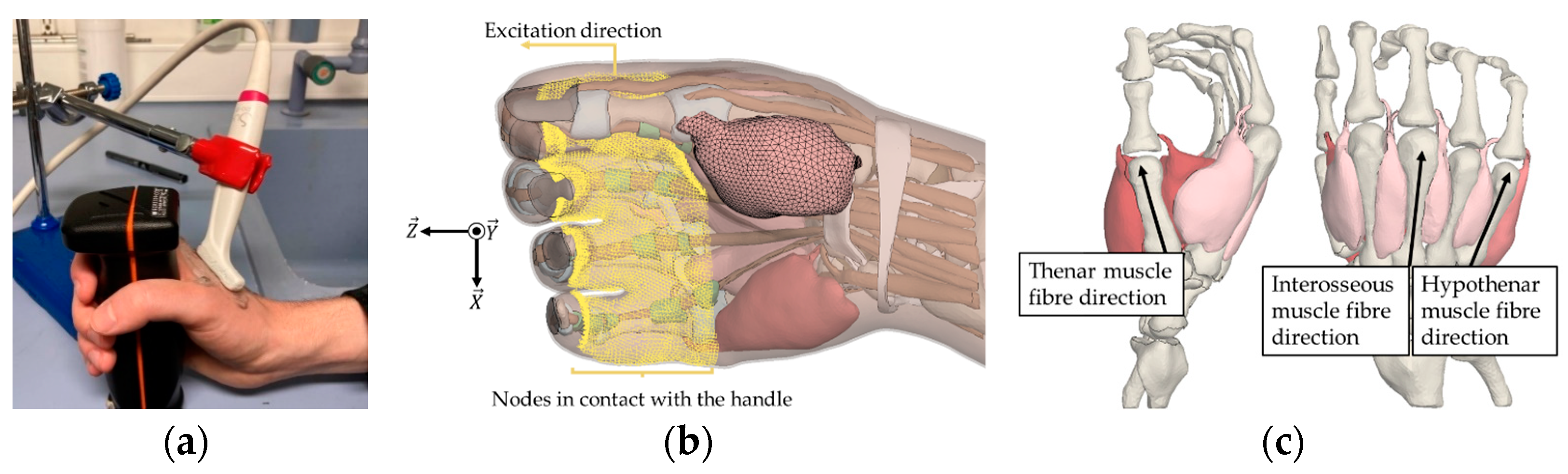 Proceedings 86 00012 g001 Proceedings 86 00012 g001