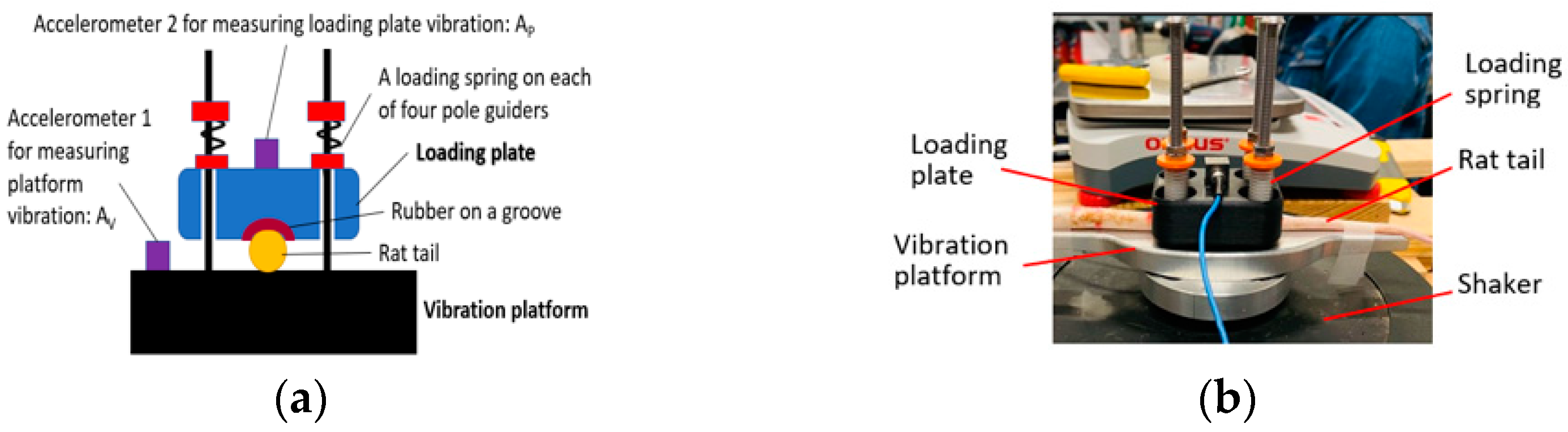 Proceedings 86 00024 g001