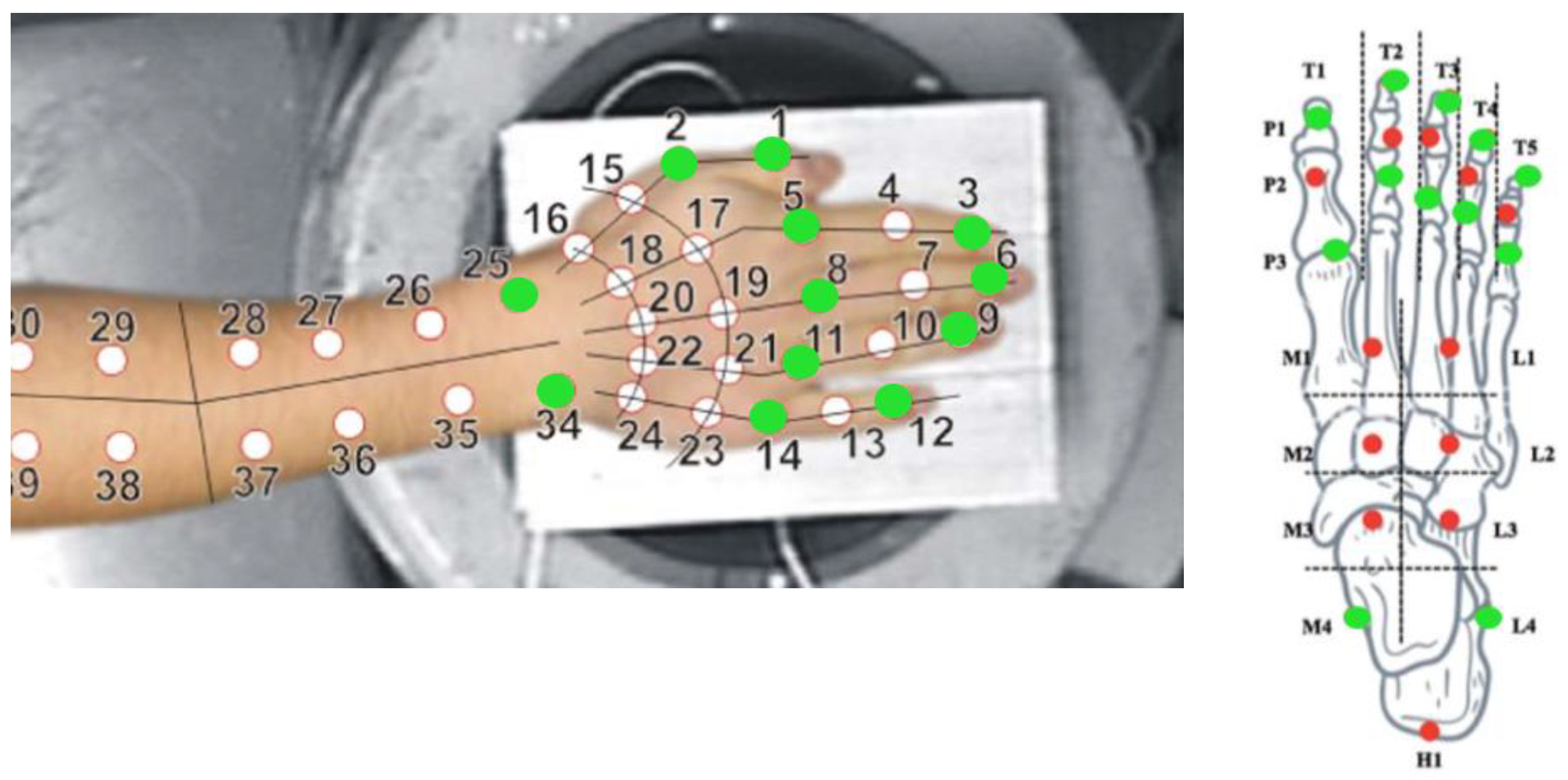 Proceedings 86 00034 g002 Proceedings 86 00034 g002