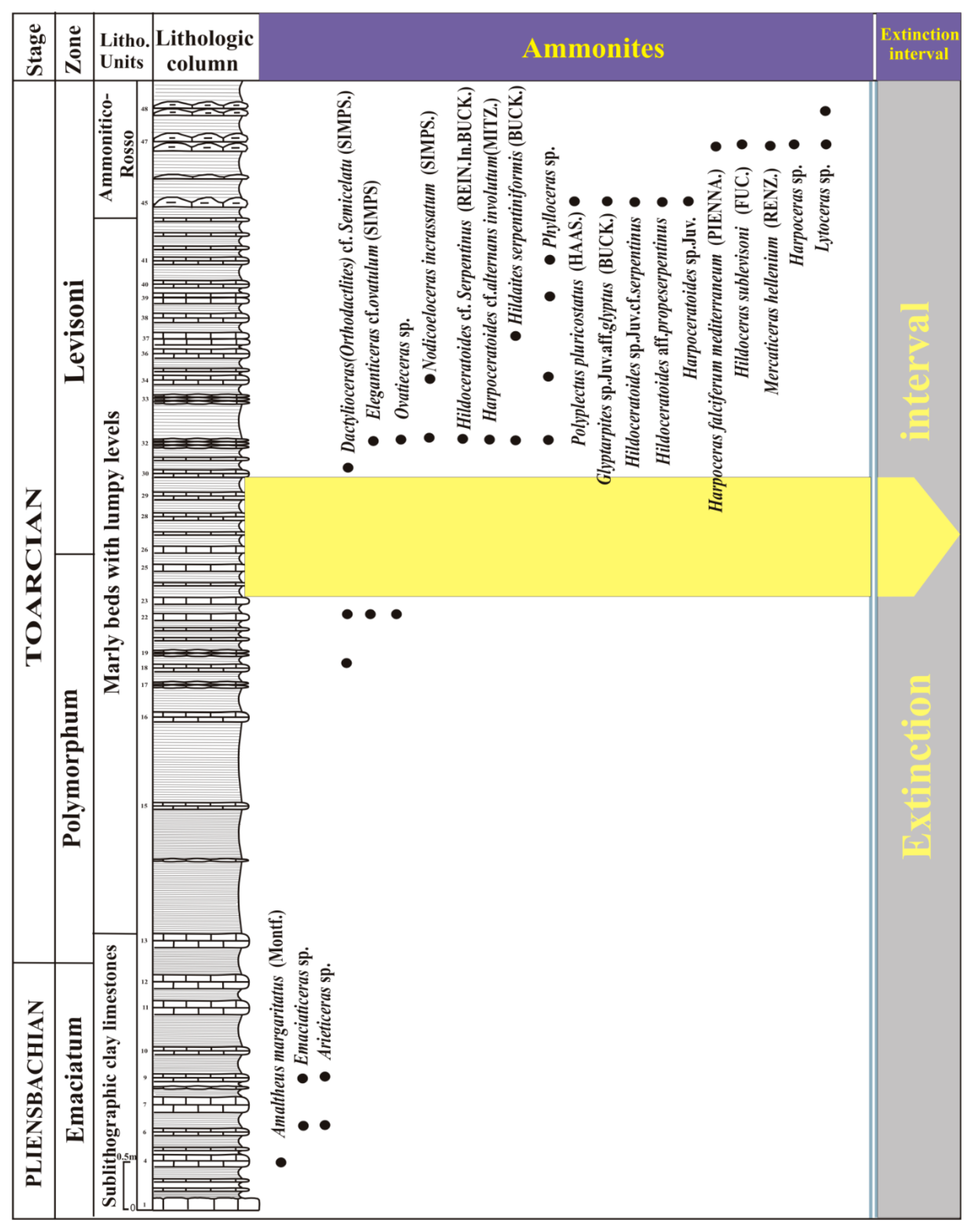 Proceedings 87 00018 g002