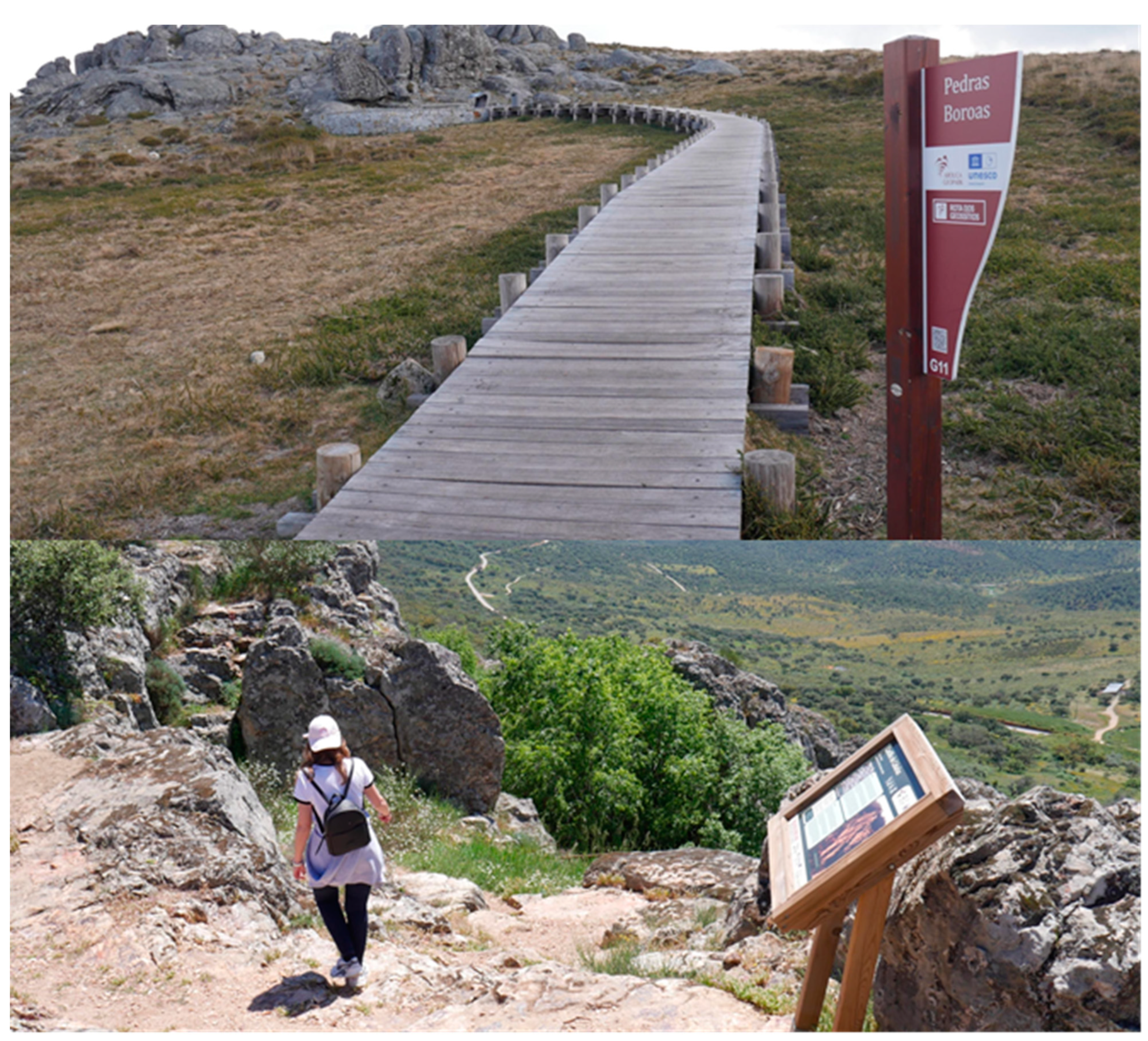 Proceedings 87 00022 g003