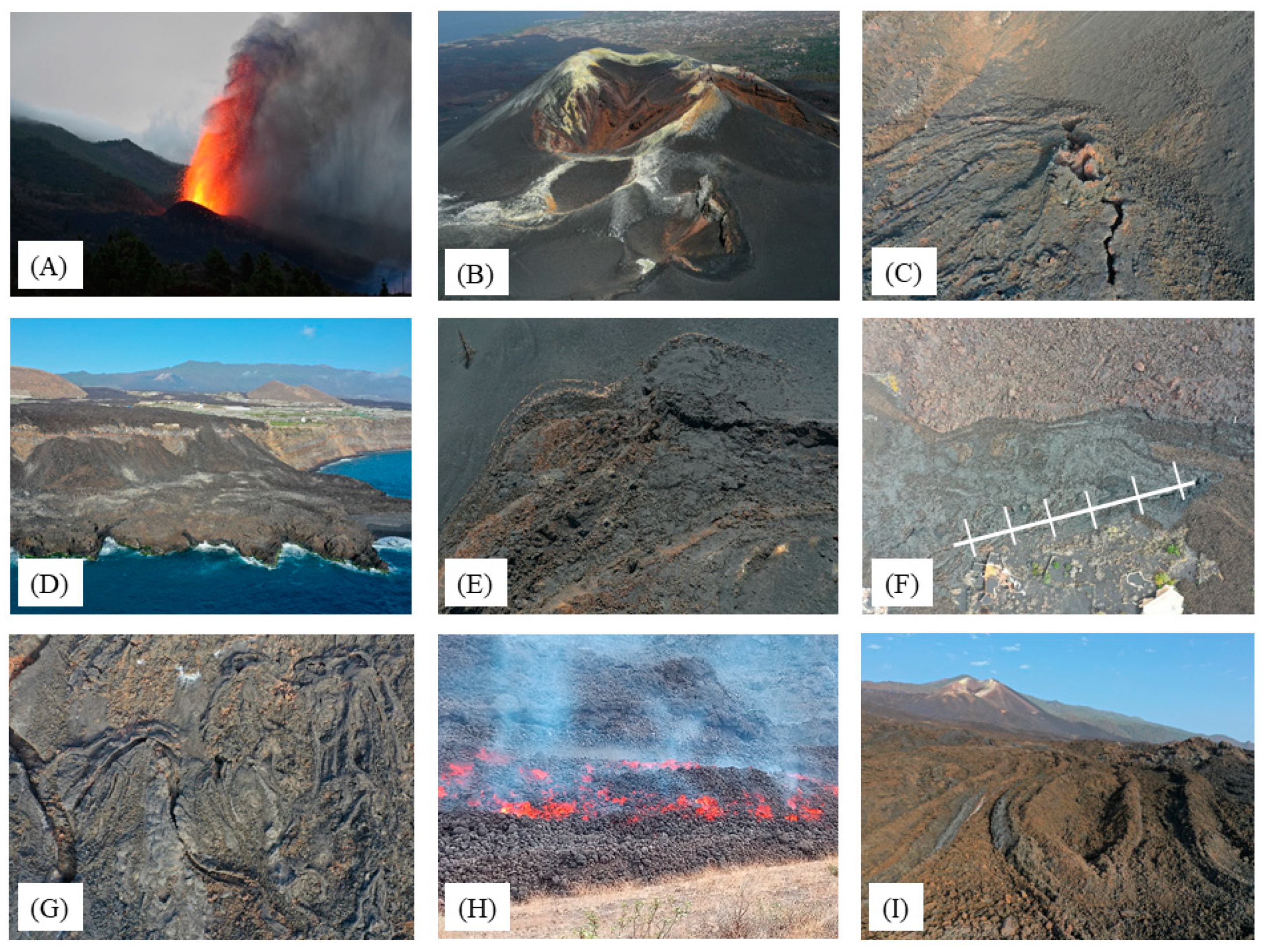 Proceedings 87 00026 g003 550