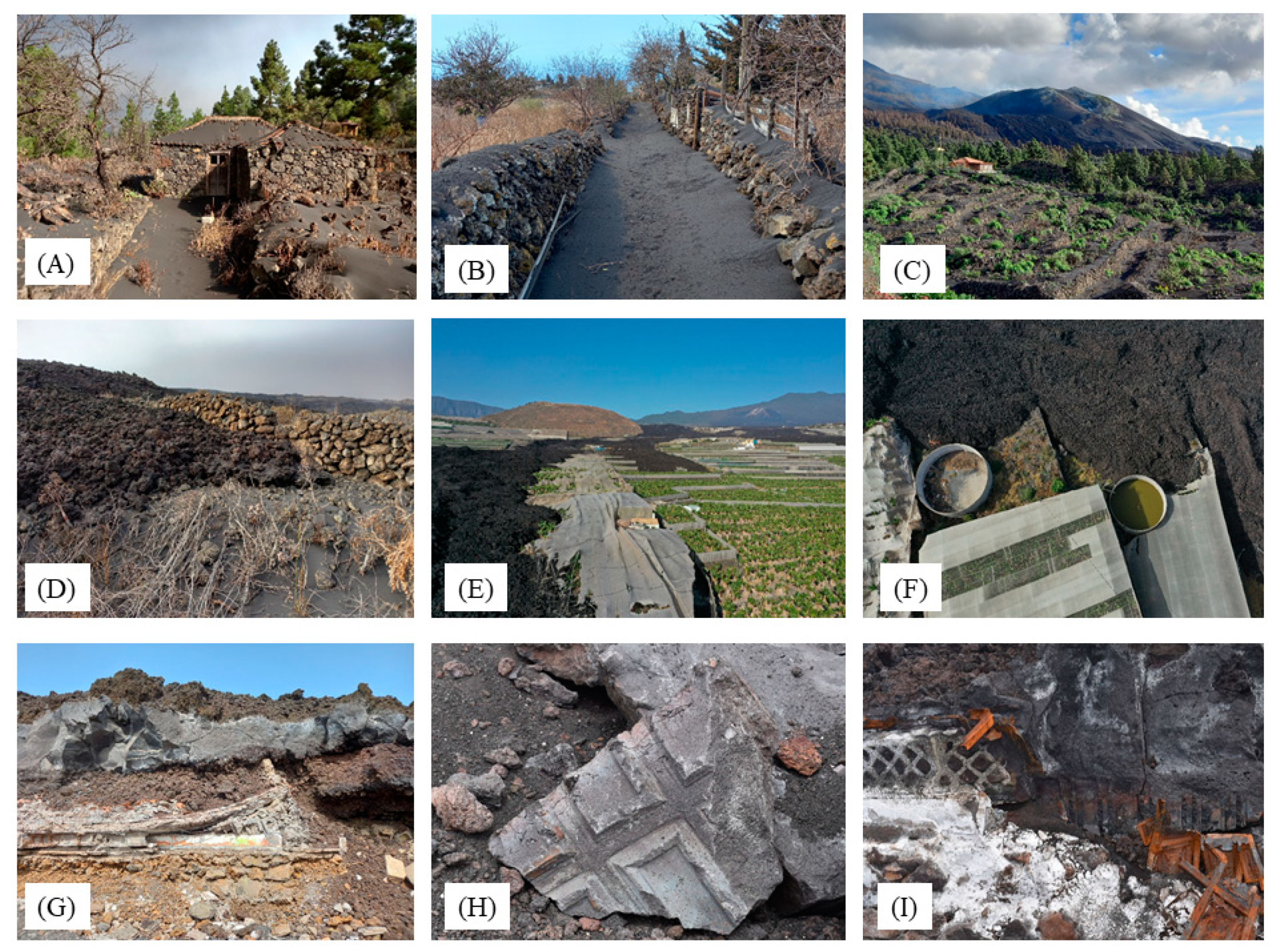 Proceedings 87 00026 g004 550