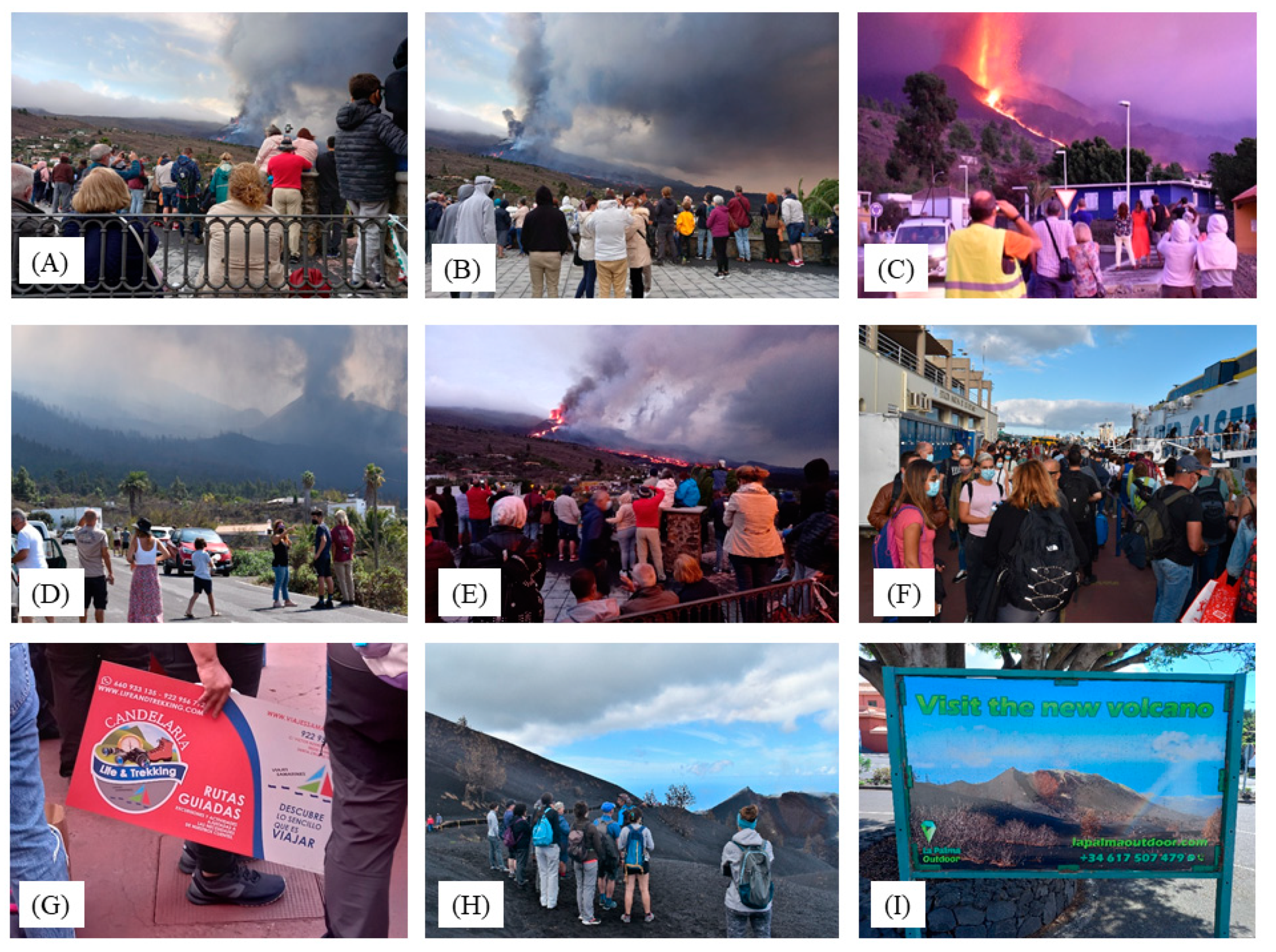 Proceedings 87 00026 g005 550