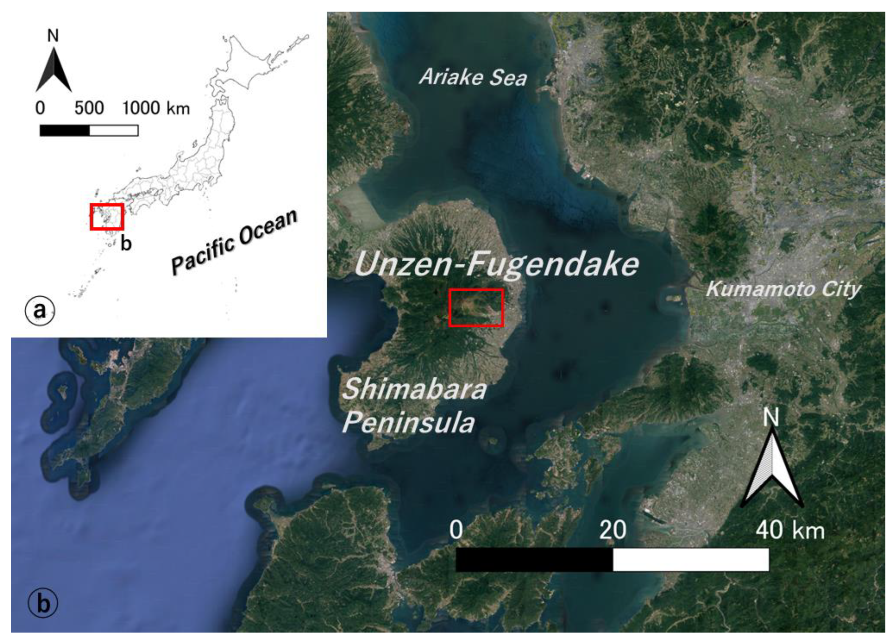 Proceedings 87 00030 g001 550