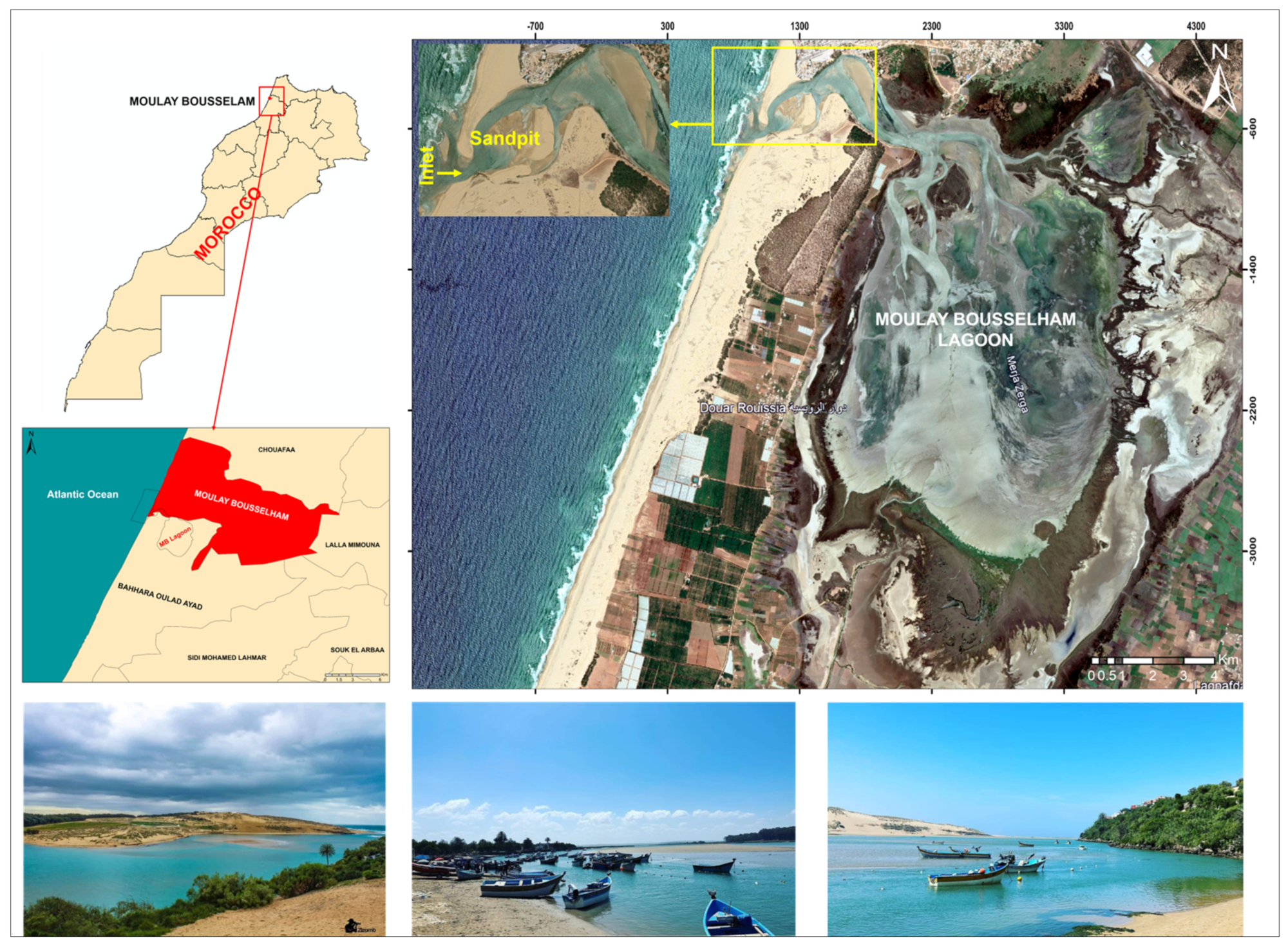 Proceedings 87 00031 g002 550