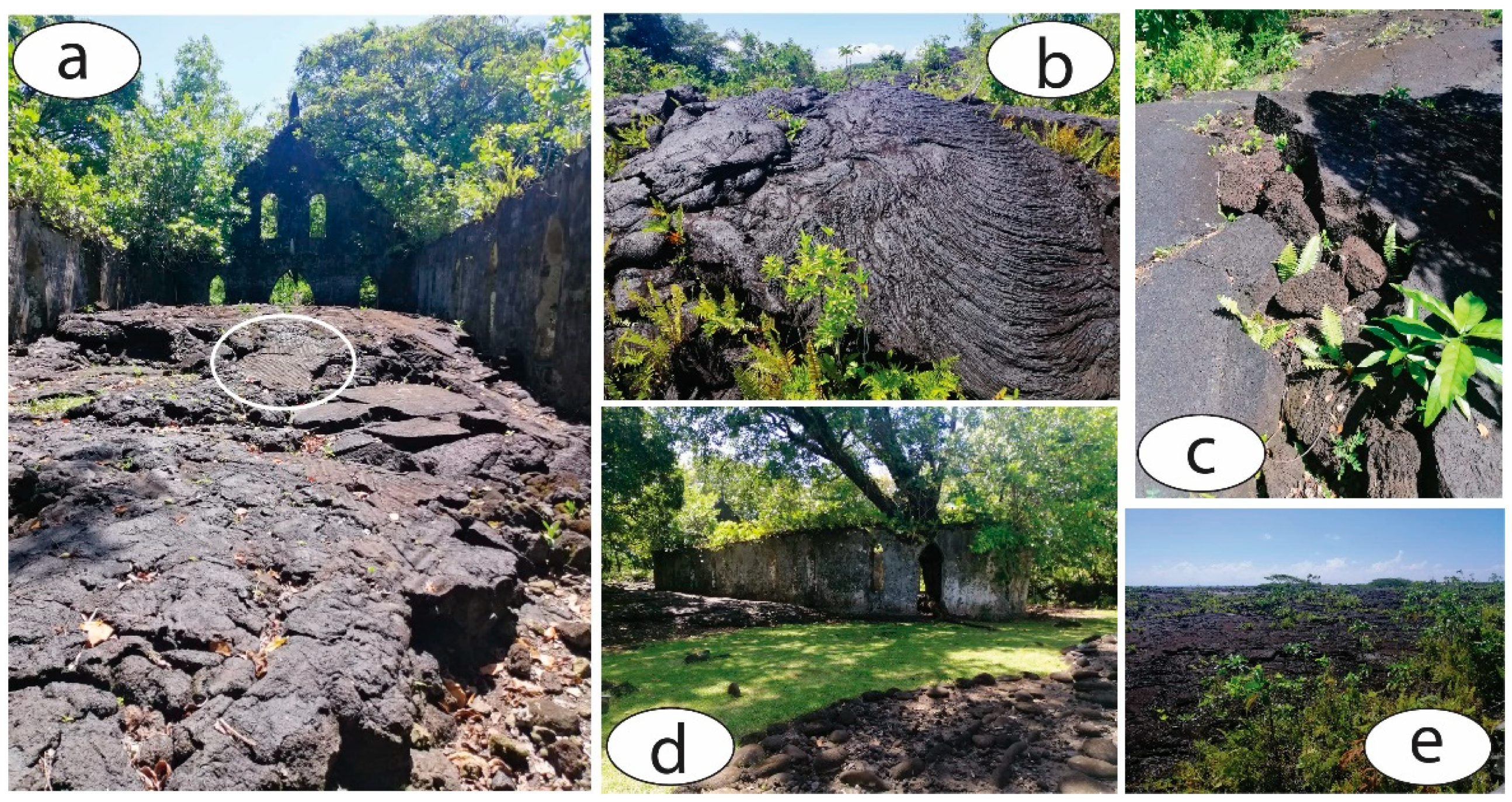 Proceedings 87 00033 g004