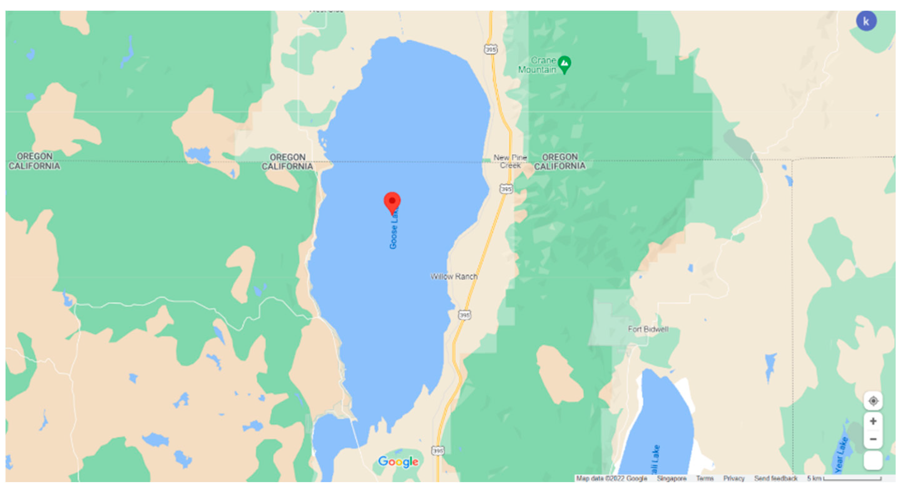 Proceedings Free FullText Estimation of the Surface Area Covered