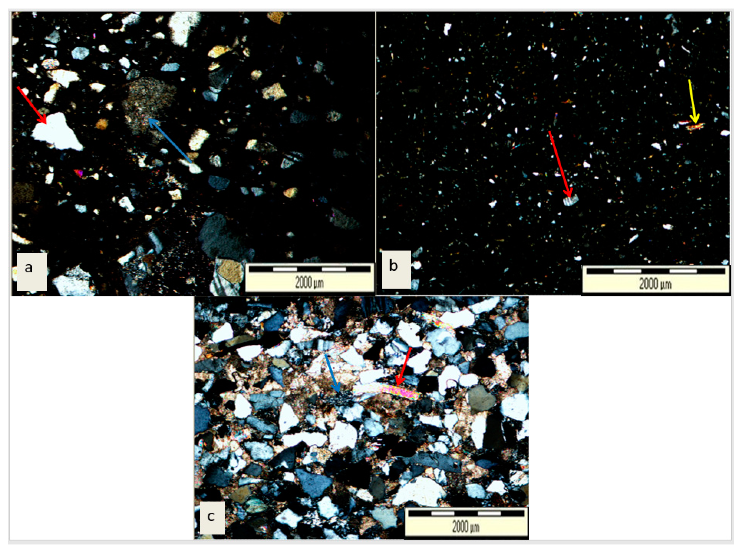 Proceedings 87 00039 g006