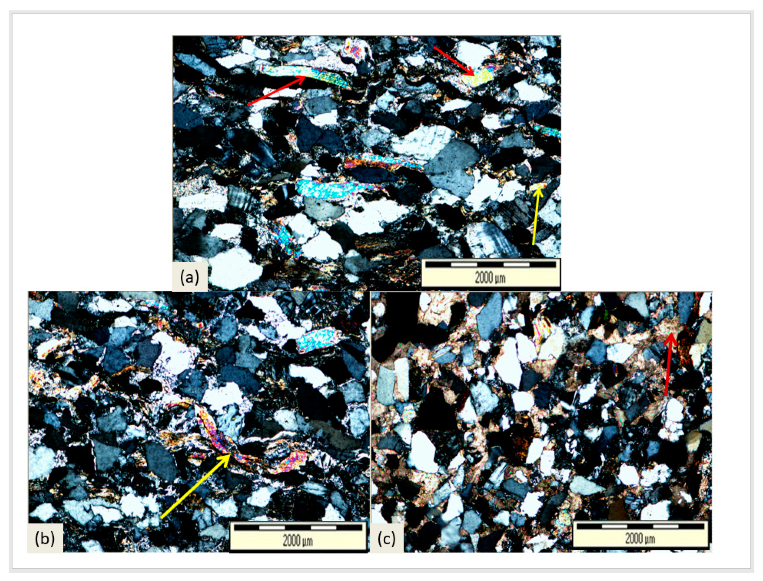 Proceedings 87 00039 g007