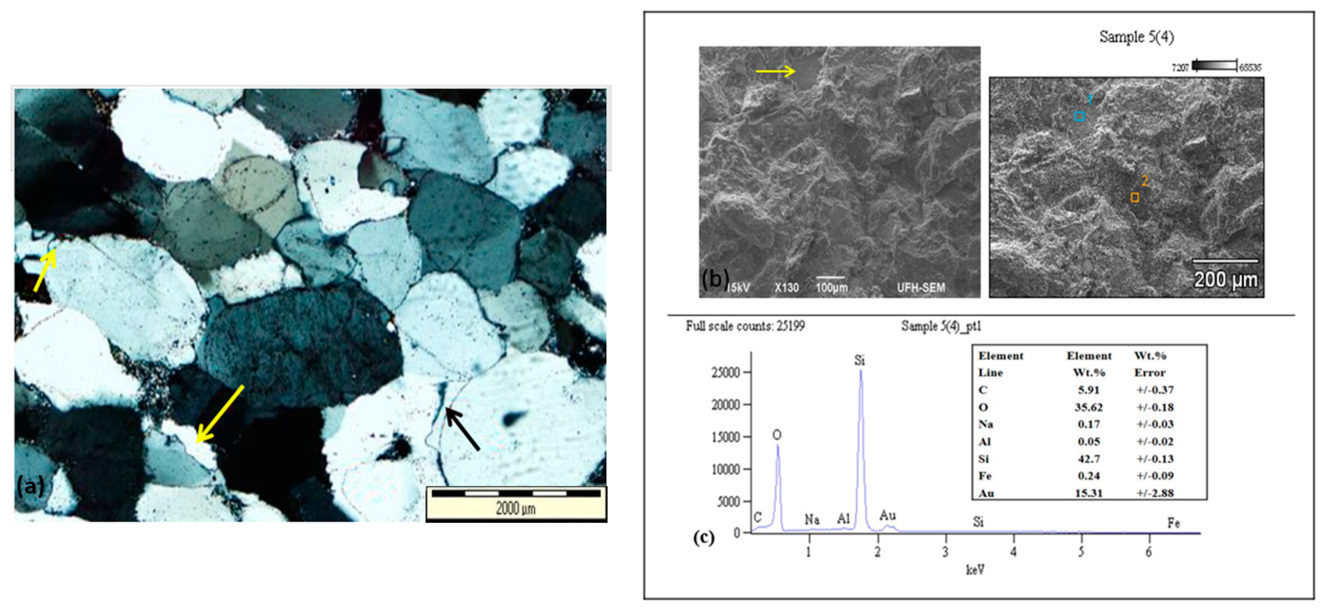 Proceedings 87 00039 g008