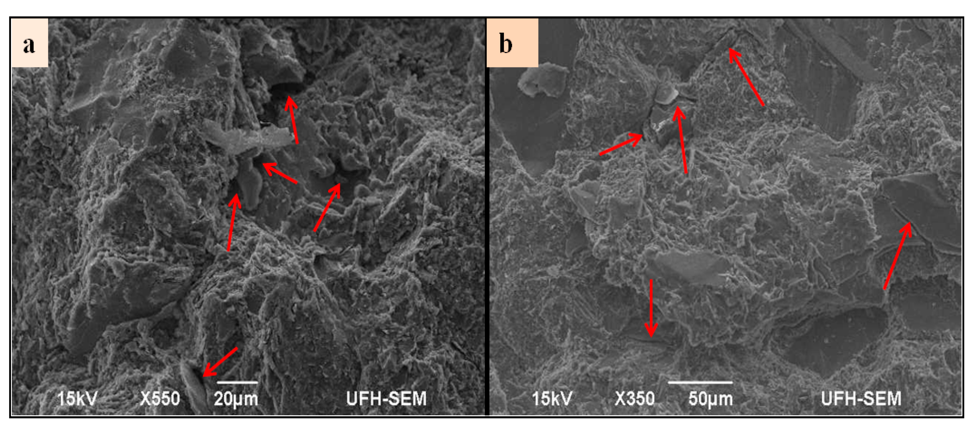 Proceedings 87 00039 g016