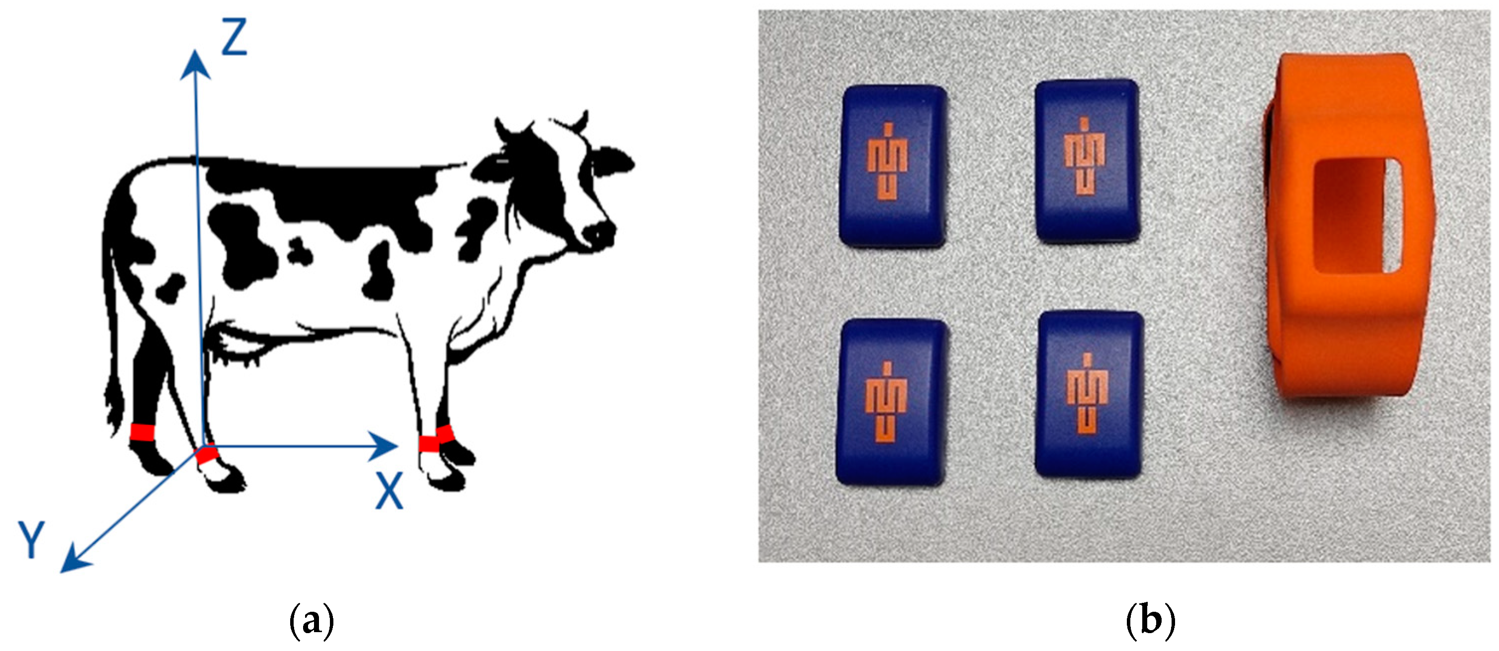 Proceedings 94 00013 g001