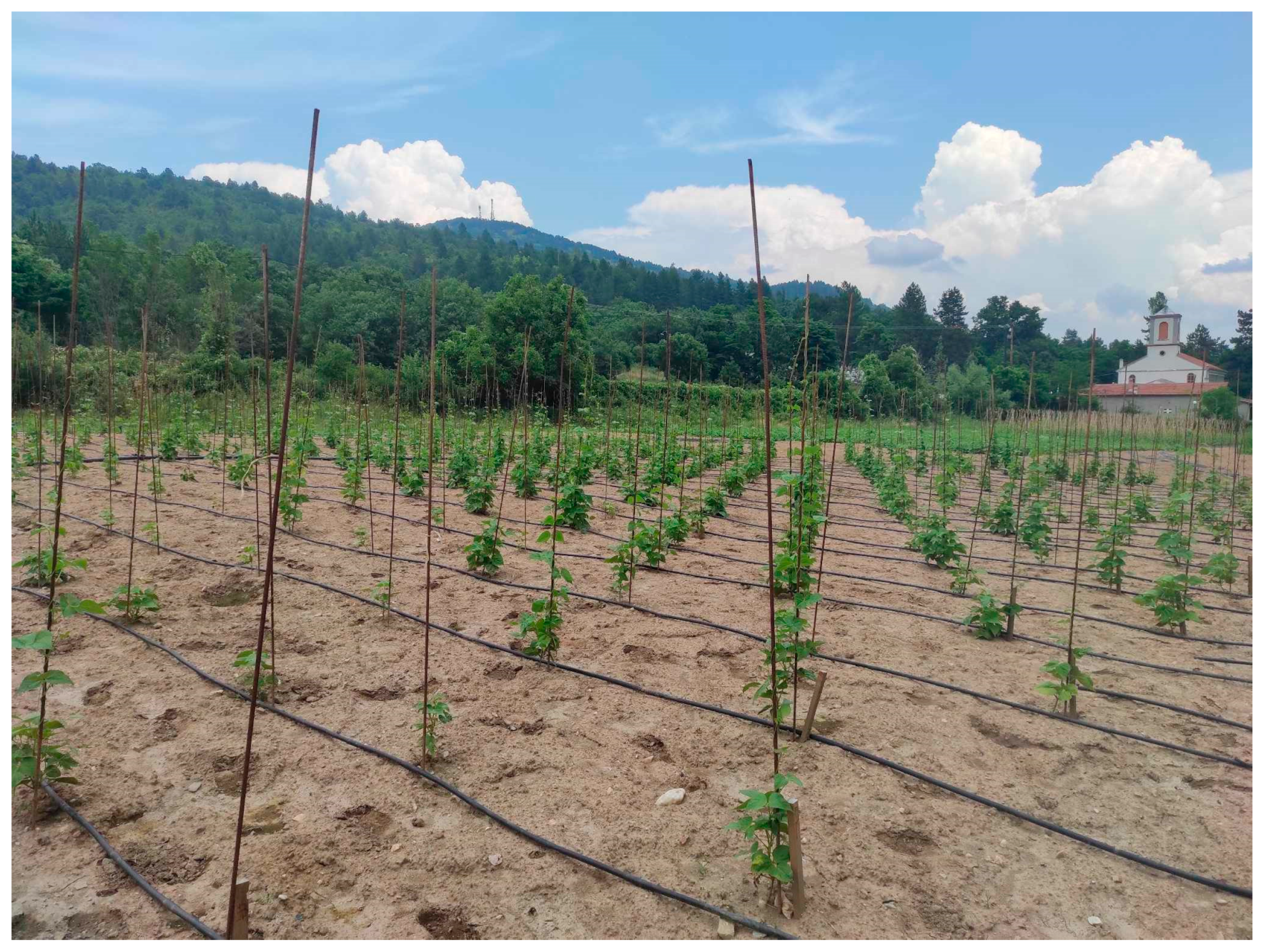 Proceedings 94 00052 g001