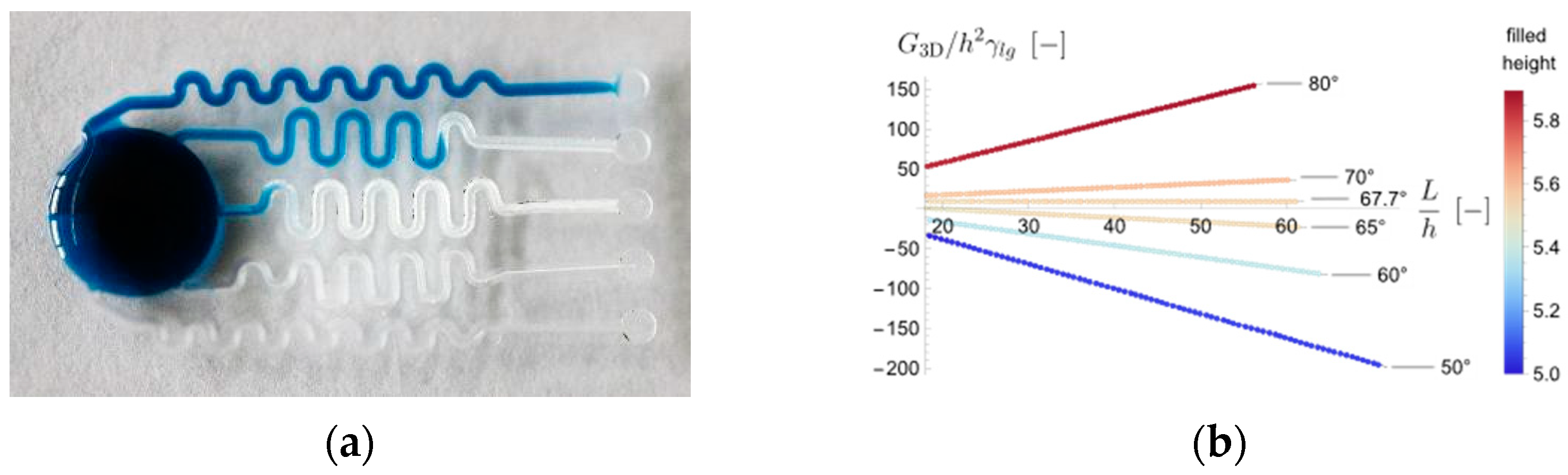 Proceedings 97 00001 g002