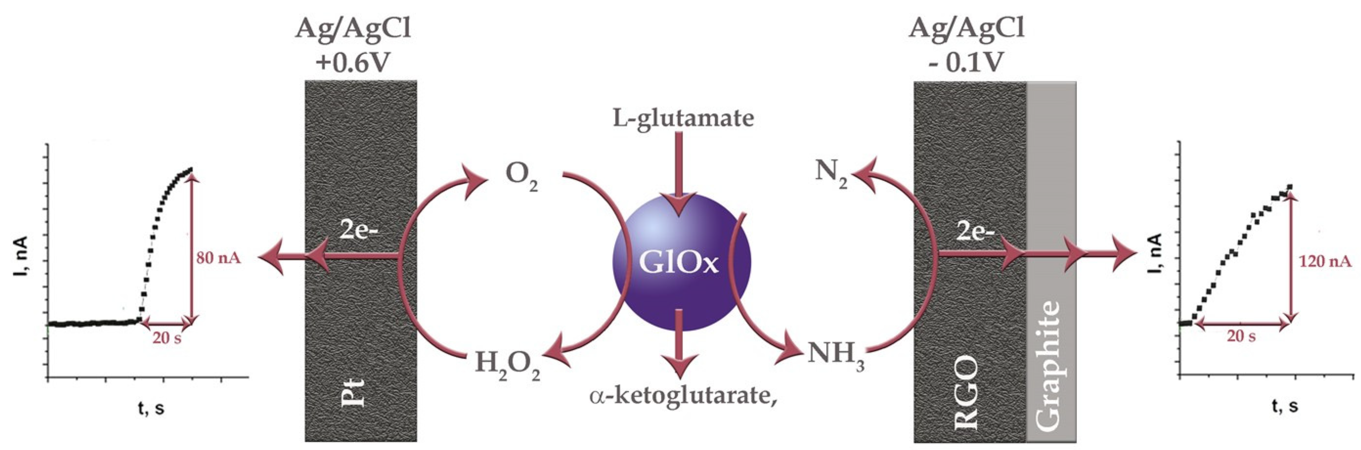 Proceedings 97 00005 g001