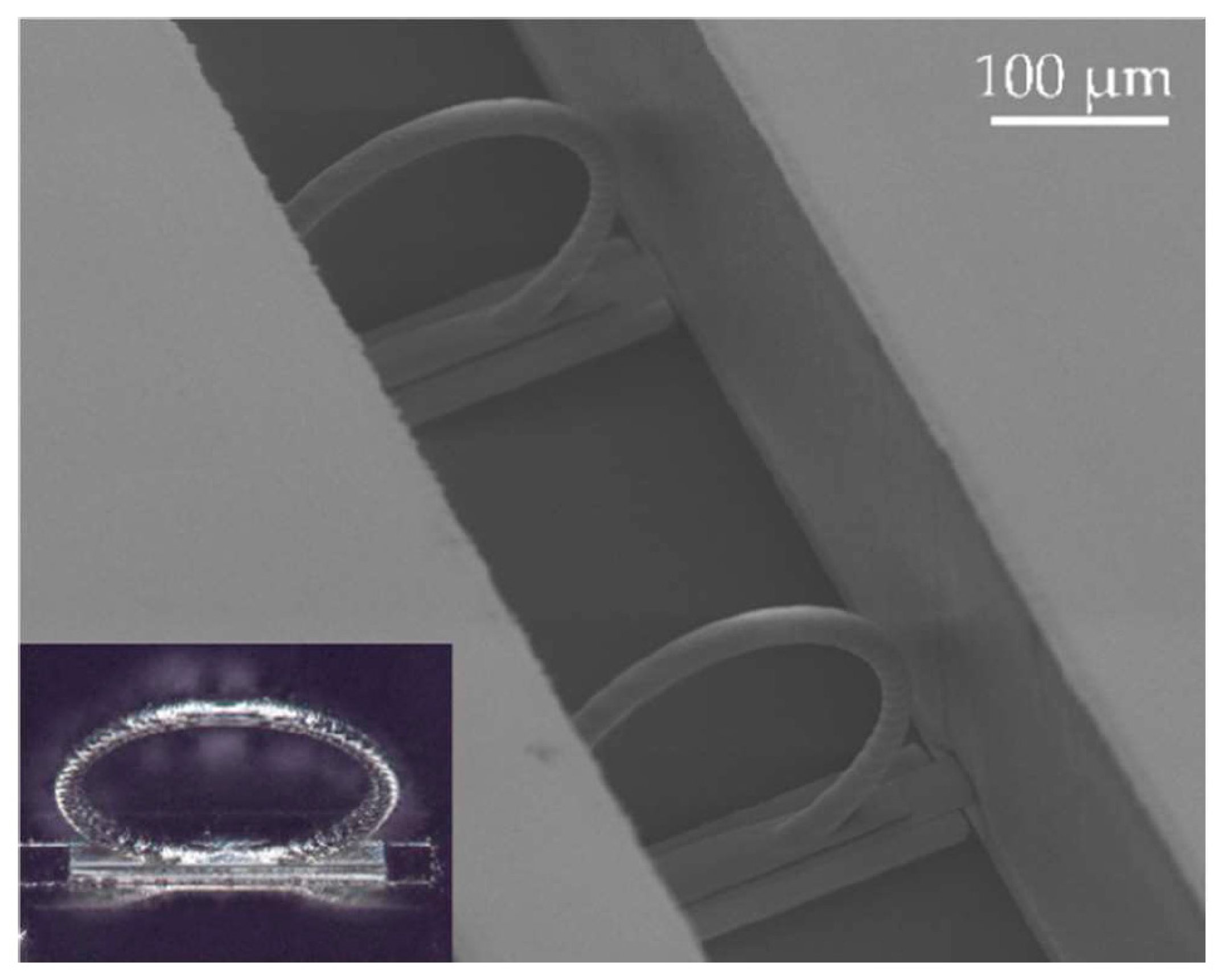 Proceedings 97 00012 g002