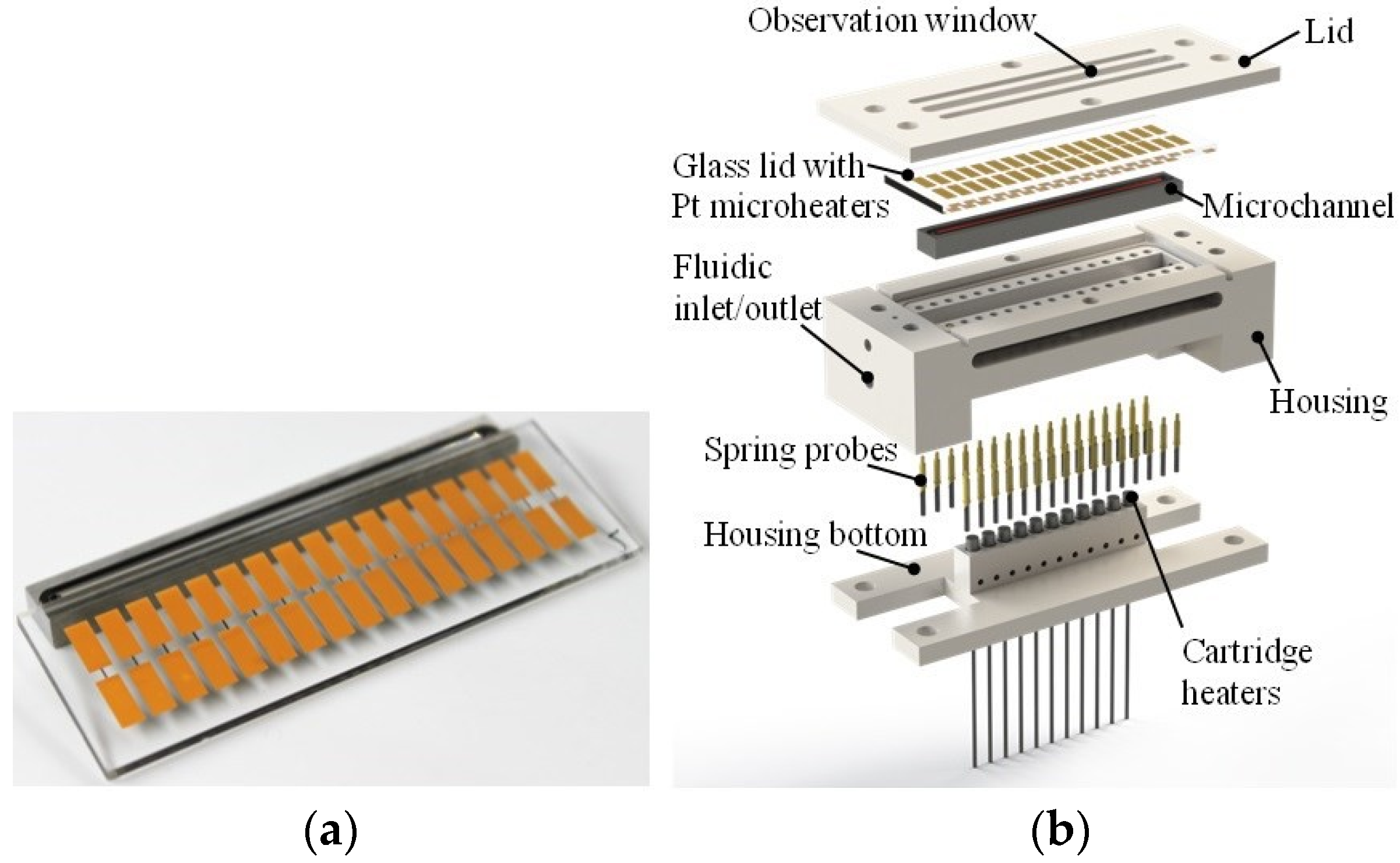 Proceedings 97 00013 g001