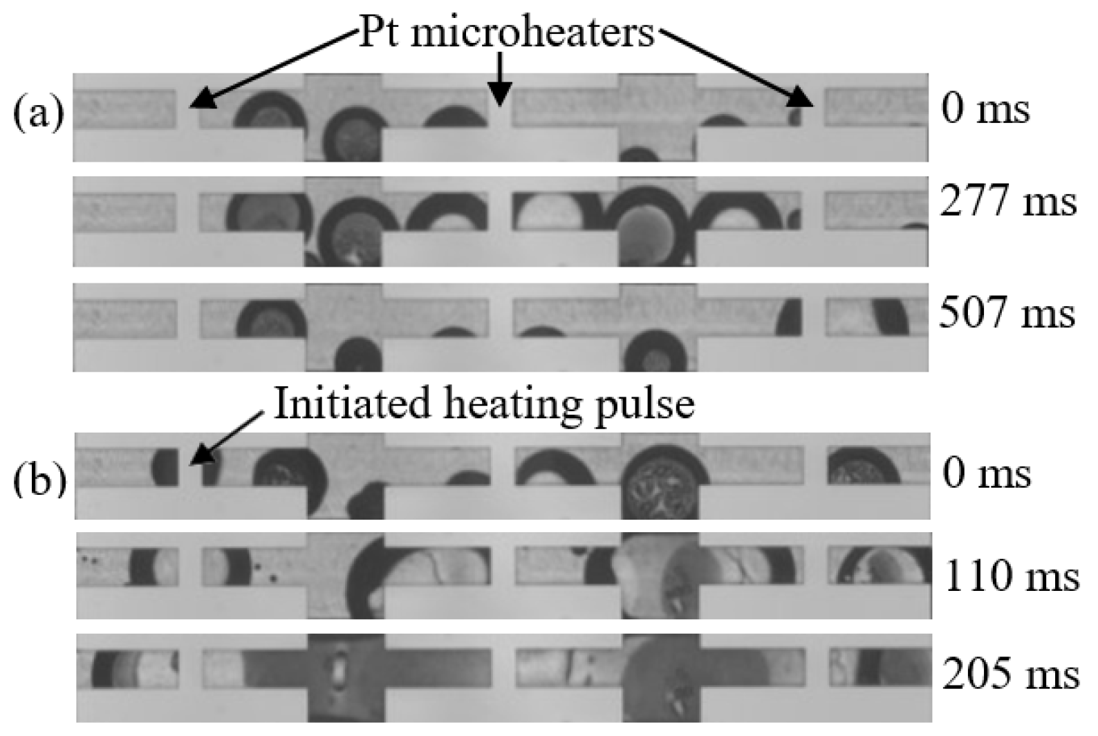 Proceedings 97 00013 g002