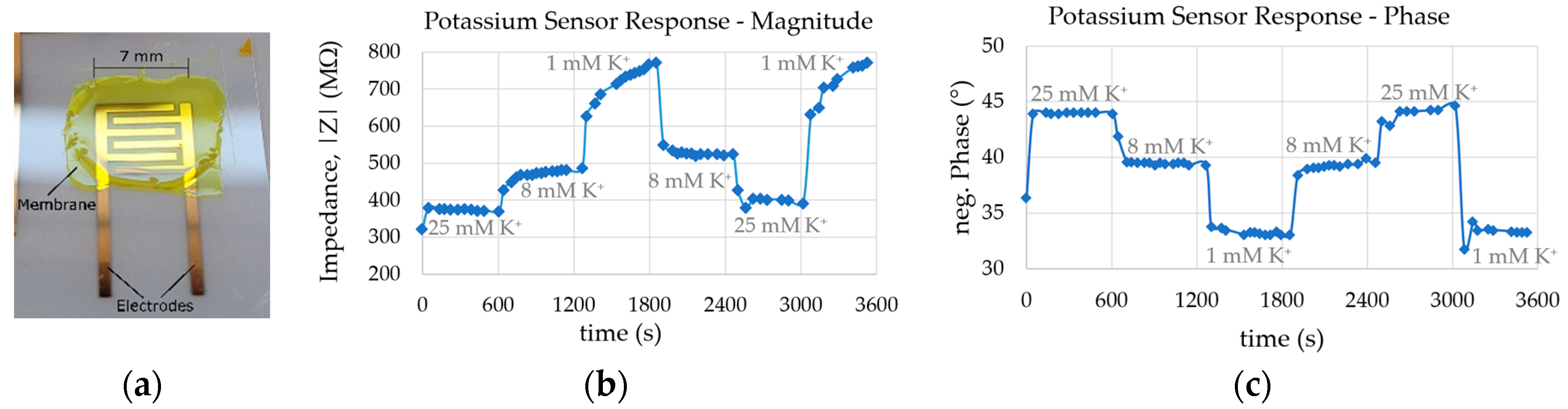 Proceedings 97 00043 g002