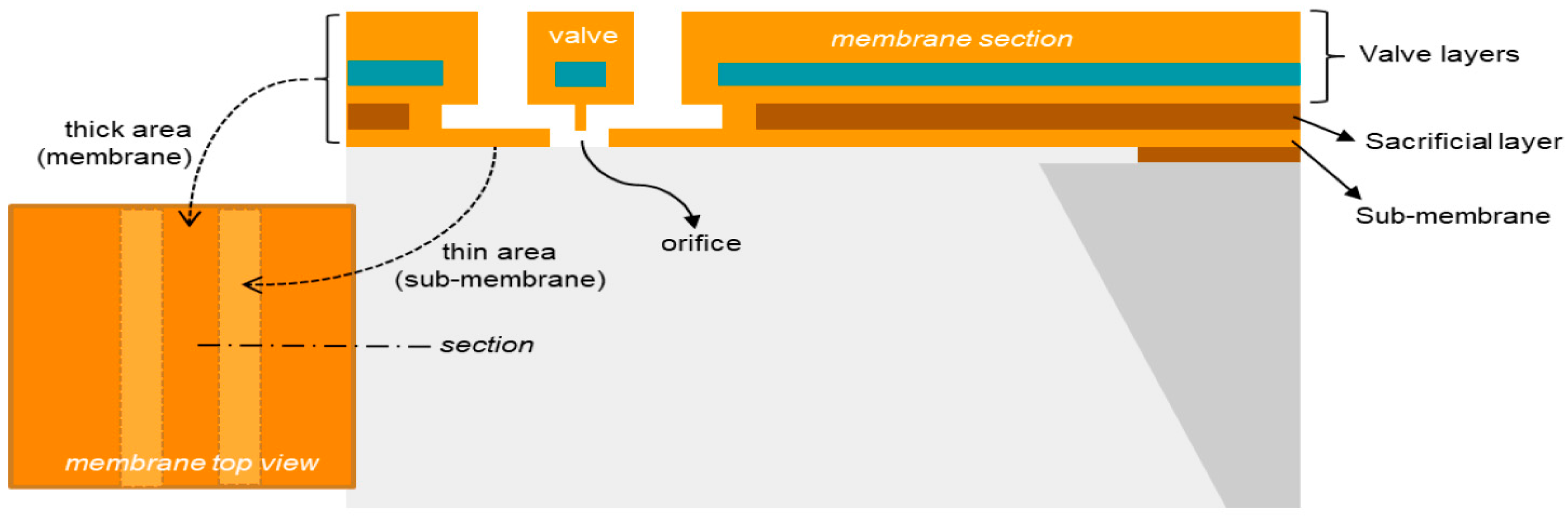 Proceedings 97 00073 g001