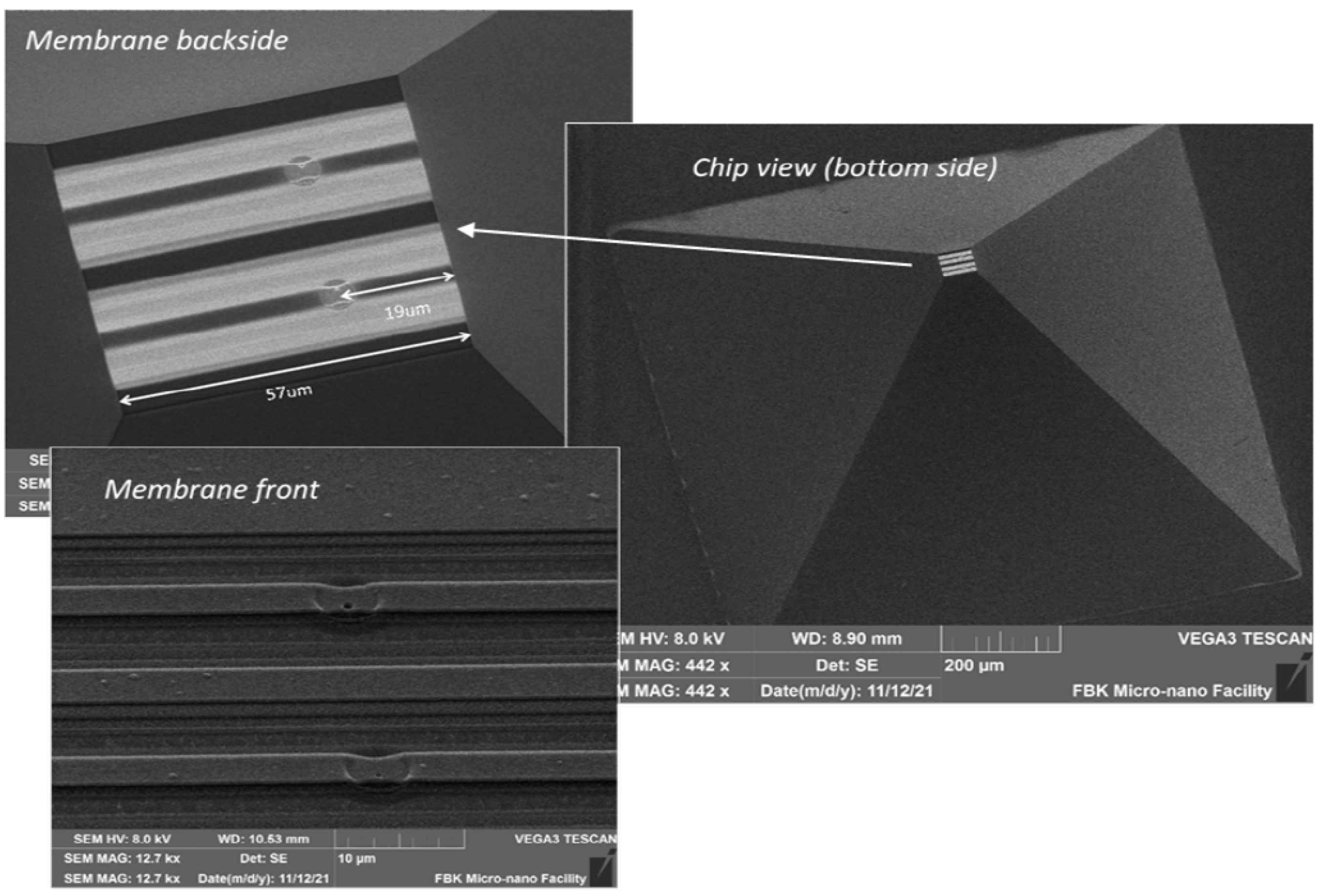 Proceedings 97 00073 g002