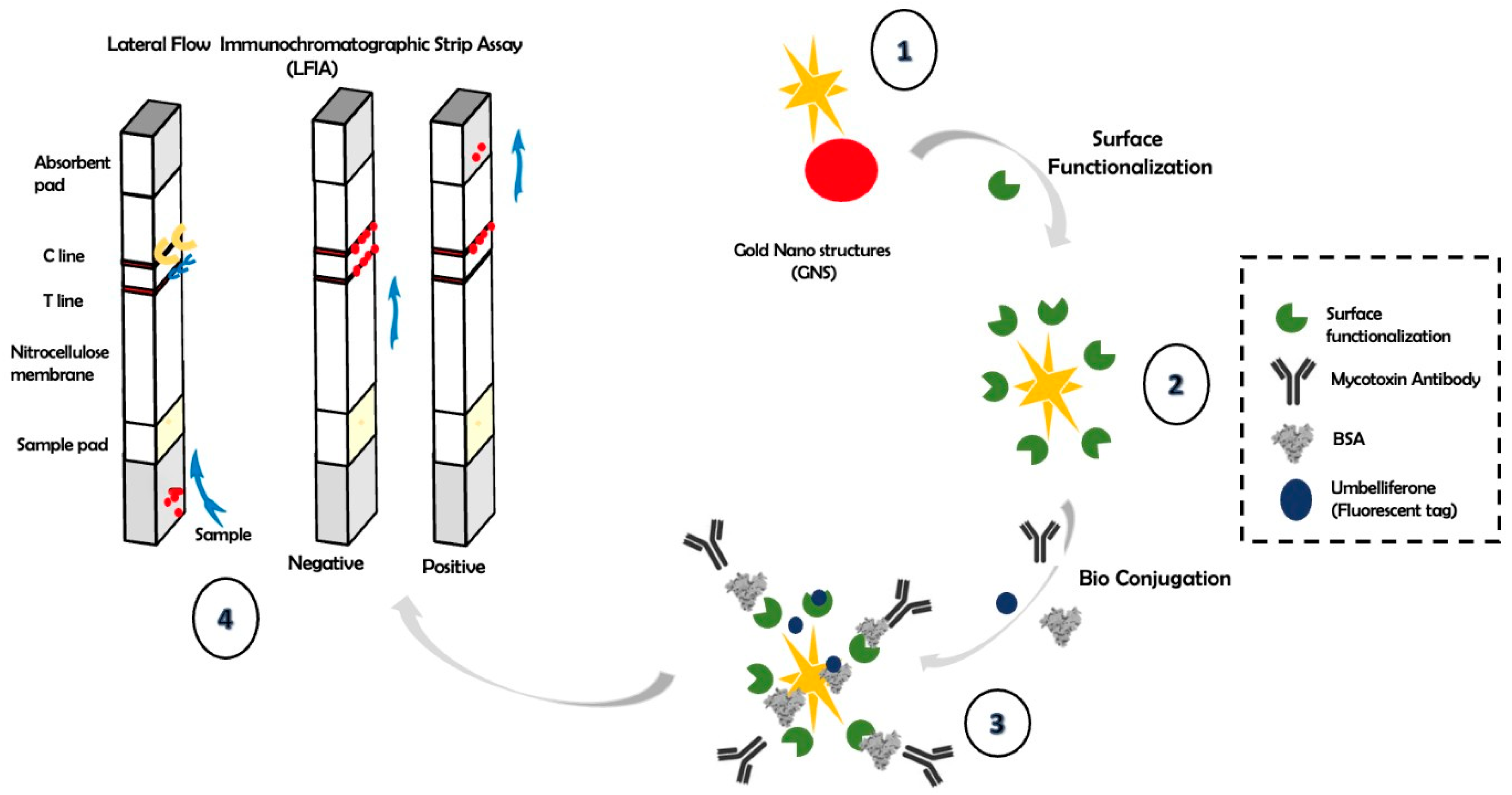 Proceedings 97 00078 g001