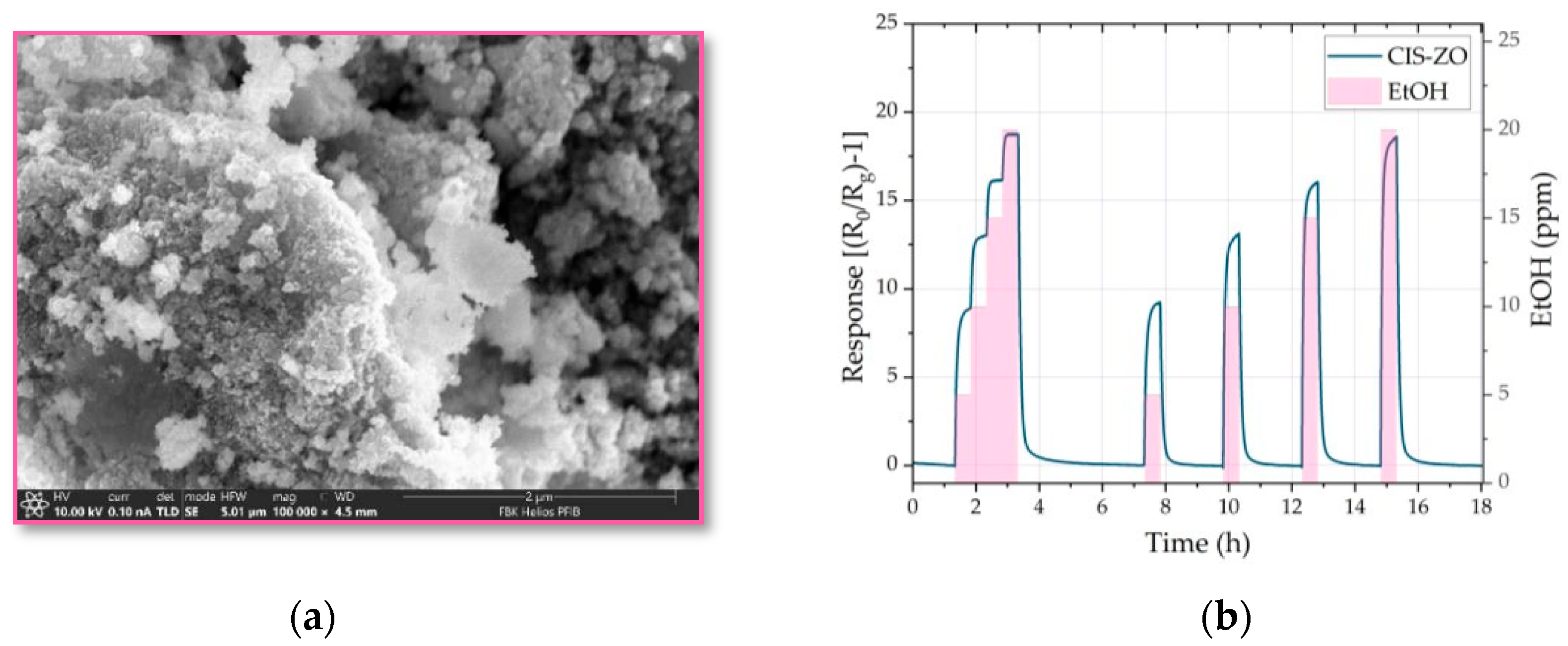 Proceedings 97 00082 g001