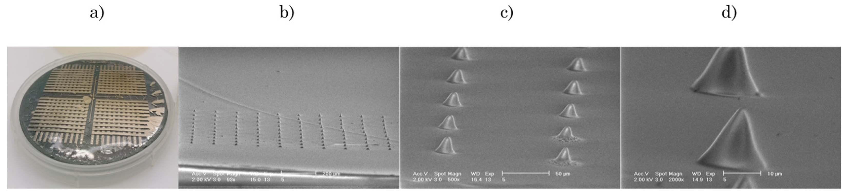 Proceedings 97 00105 g002