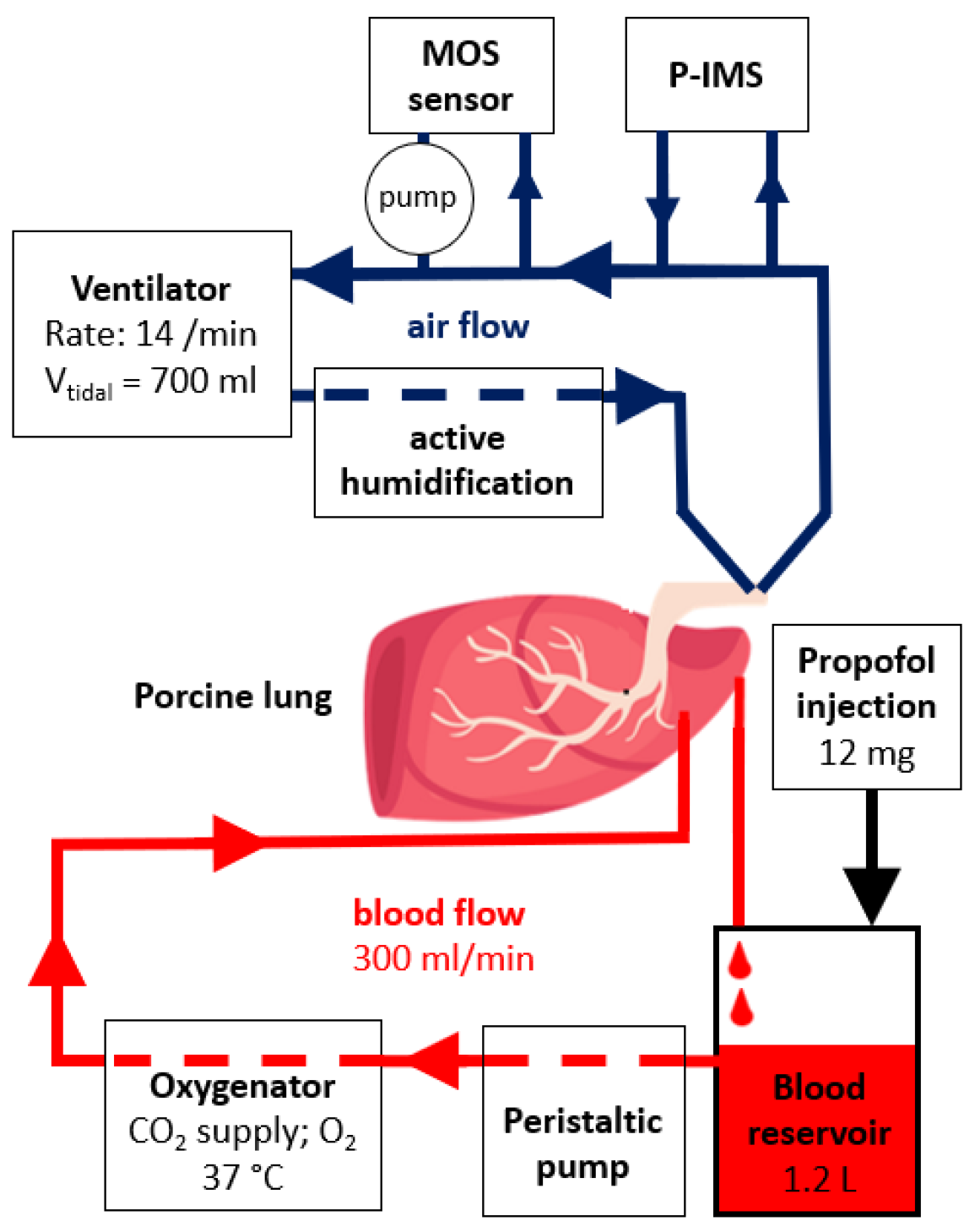 Proceedings 97 00108 g001