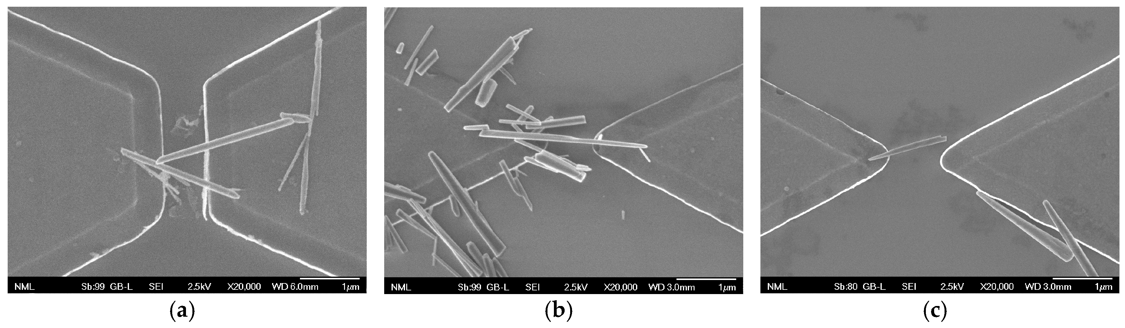 Proceedings 97 00115 g001